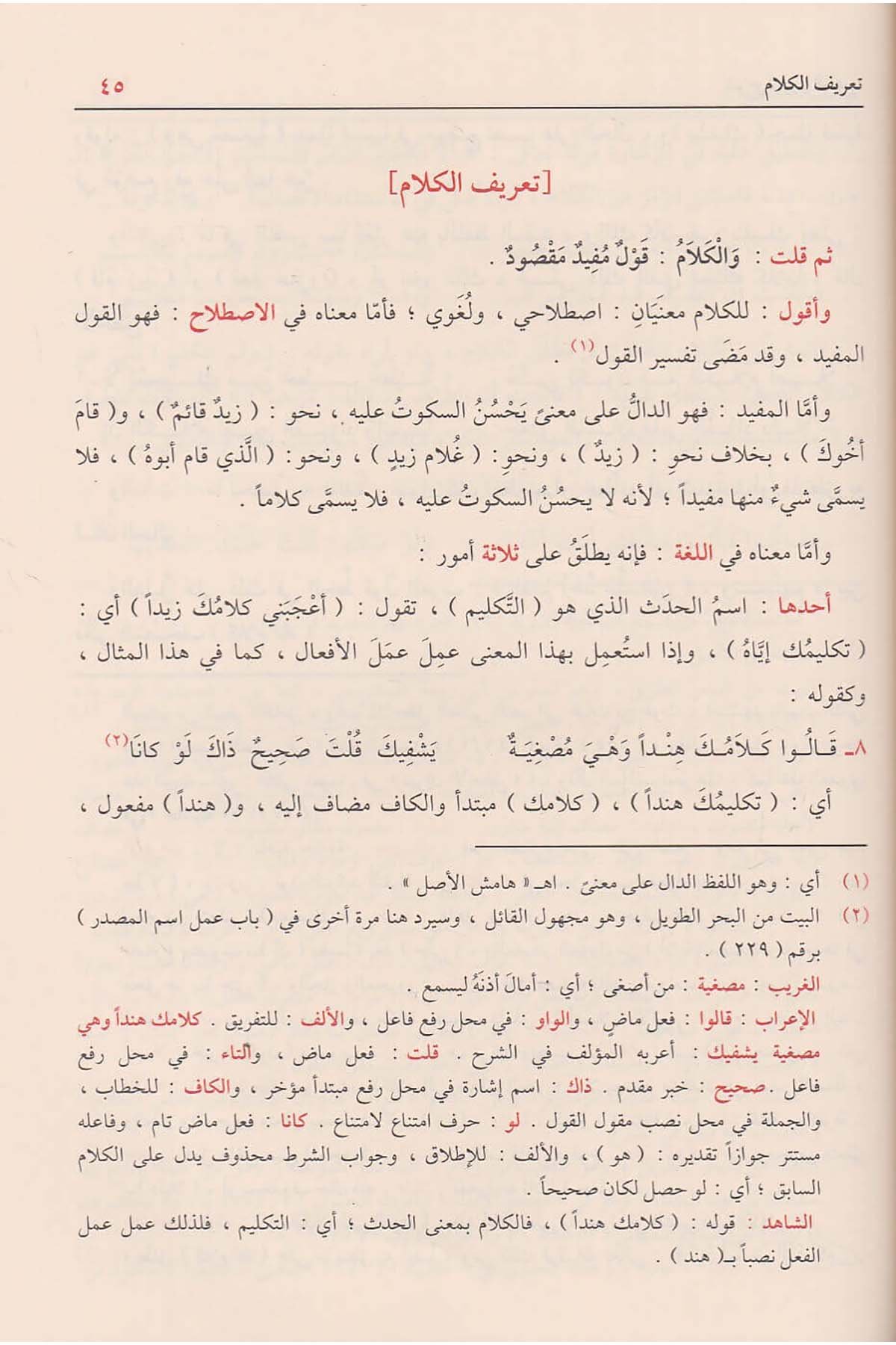 شرح شذور الذهبDar'ül FeyhaArap Dili ve Edebiyatı