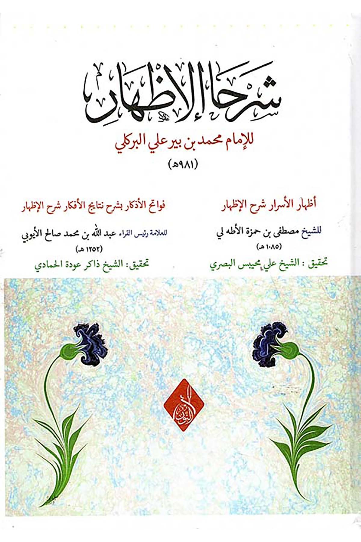 Şerhu'l-İzhar - شرحا الإظهارDarun Nurul MübinArap Dili ve Edebiyatı