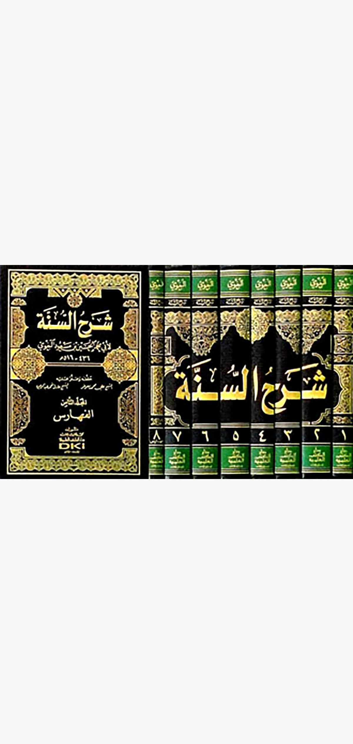 Şerhüs SünneDarü'l-Kütübi'l-İlmiyyeHadis