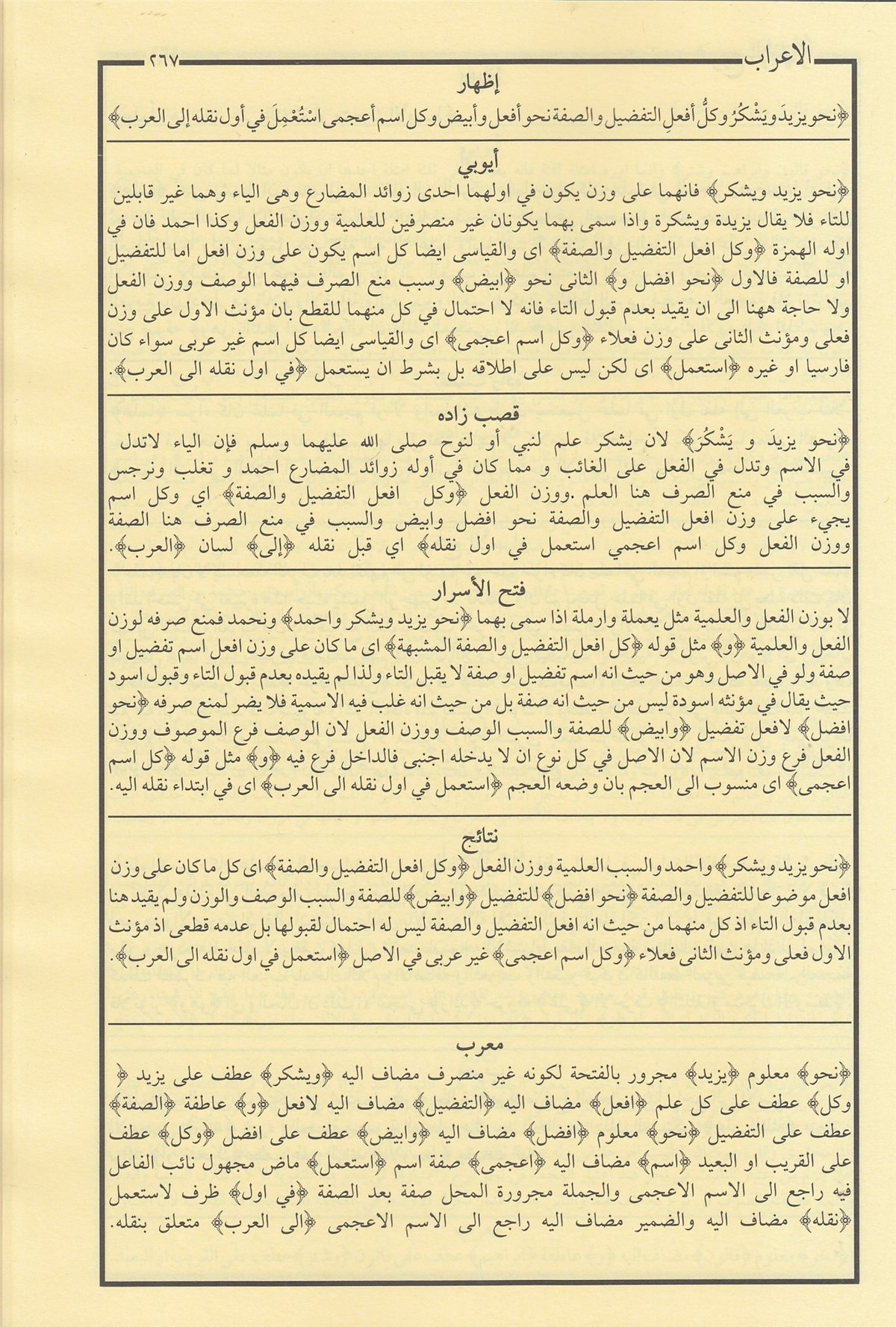 Şuruhu’l-İzhar Eyyübi – İzhar Metni | شروح الإظهار ويحتوي على ستة كتبMaruf YayıneviArap Dili ve Edebiyatı