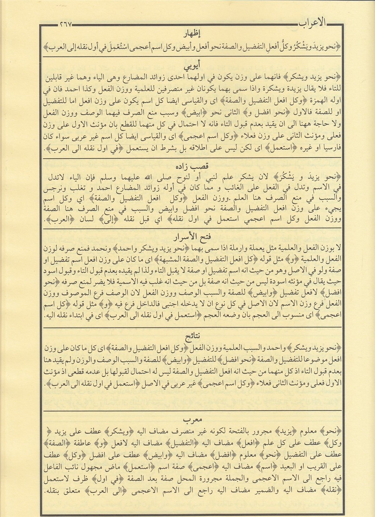 Şuruhu’l-İzhar Eyyübi – İzhar Metni | شروح الإظهار ويحتوي على ستة كتبMaruf YayıneviArap Dili ve Edebiyatı