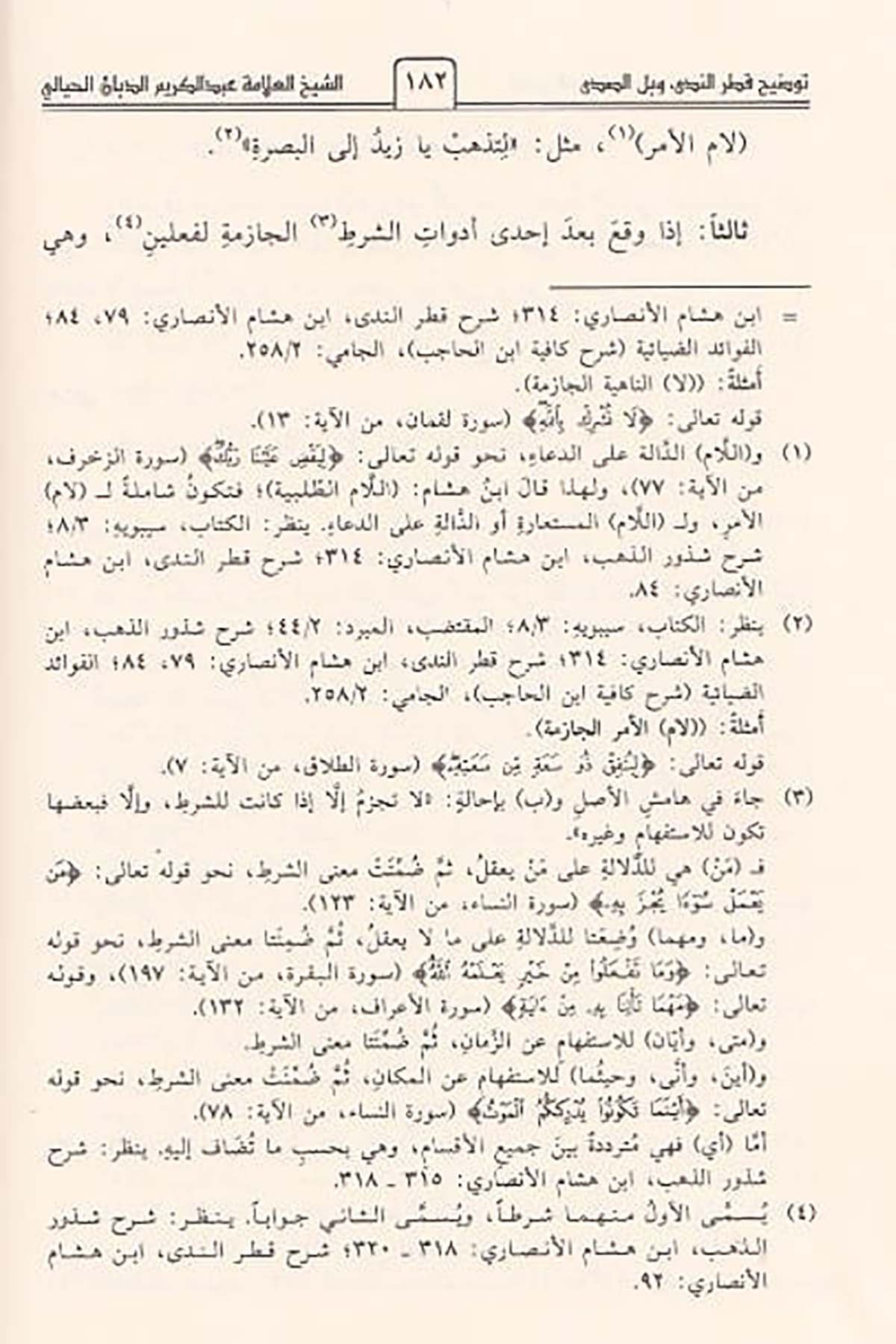 توضيح قطر الندى وبل الصدىDar'ül İbn HazmNahiv