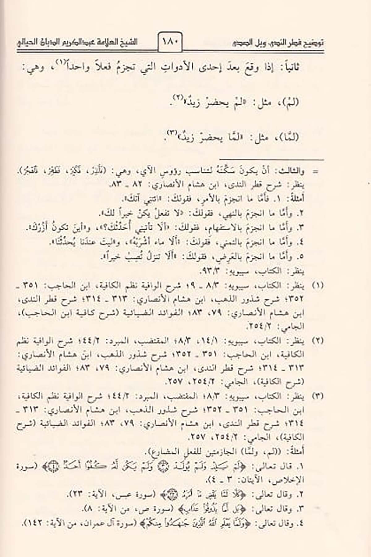 توضيح قطر الندى وبل الصدىDar'ül İbn HazmNahiv