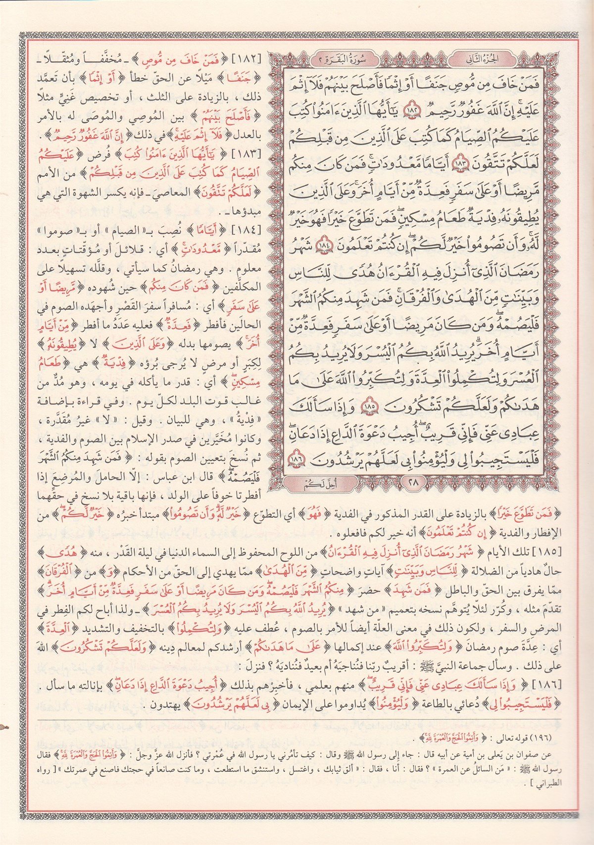 Tefsirü'l İmameyni'ln Celaleyn | تفسير الجلالينDar'ül İbni KesirTefsir