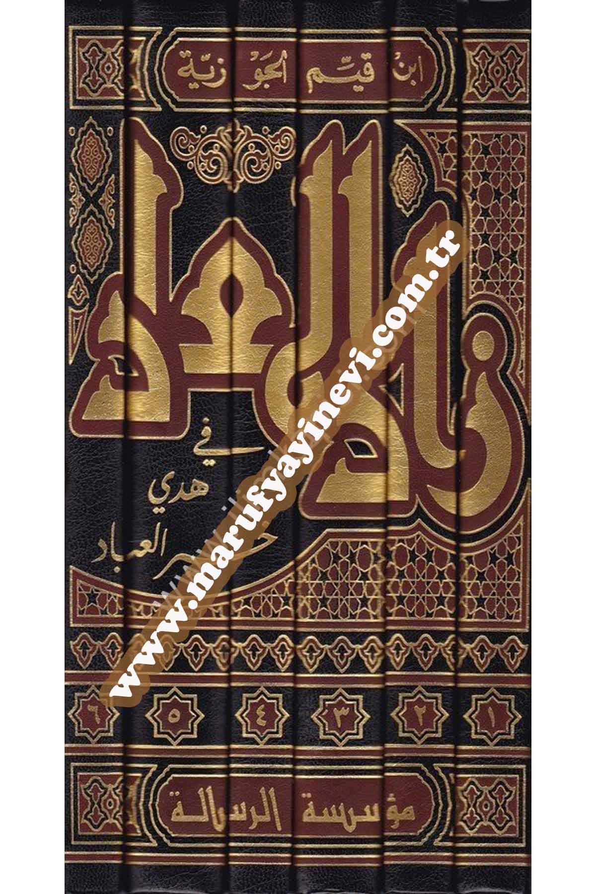 Zadül Mead fi Hedyil Hayri l İbad 6 CiltRisaleti AlemiyyeHadis