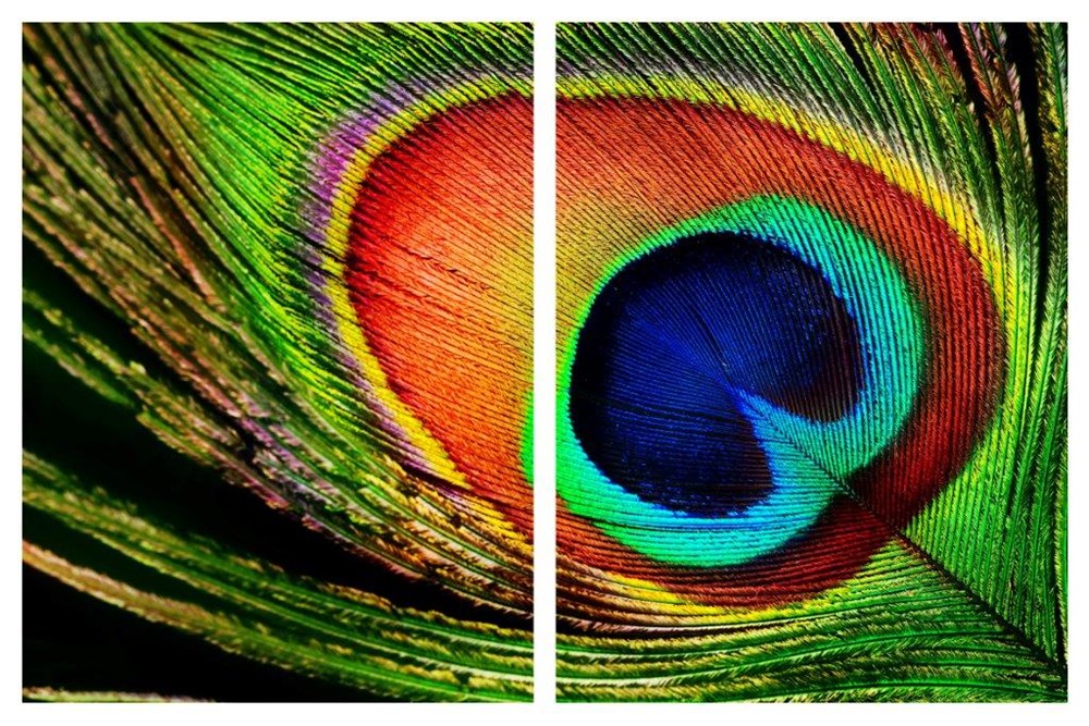 PEACOCK FEATHER ÇERÇEVELİ 2'Lİ YAĞLI BOYA DOKULU TABLO
