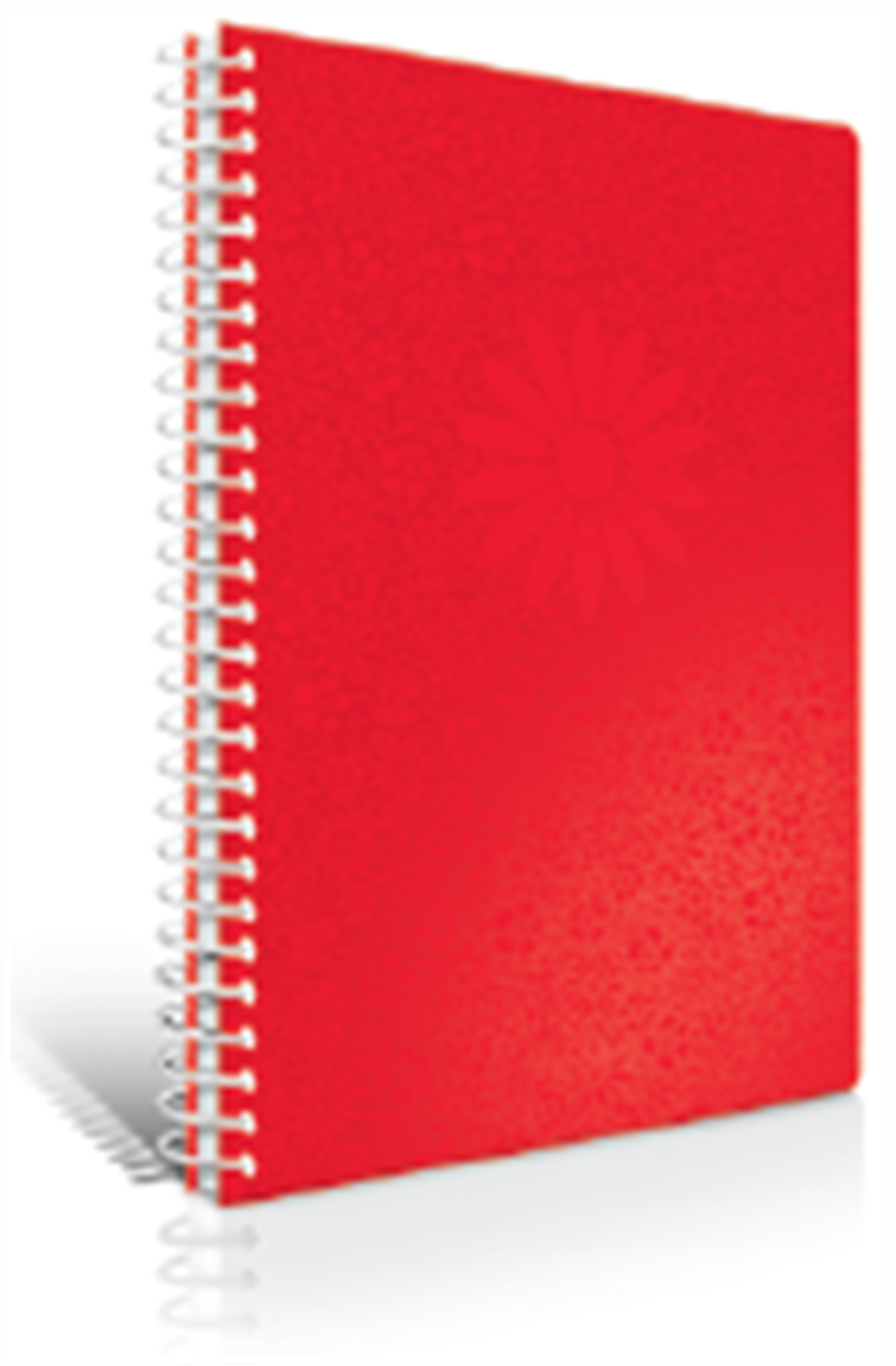 Çınar Defter Kır Çiçekleri Spr Sert Kpk 17x24 100yp Kare