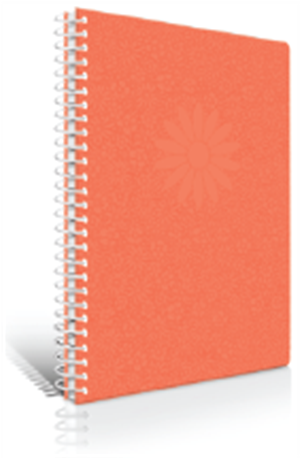 Çınar Defter Kır Çiçekleri Spr Sert Kpk 17x24 100yp Kare