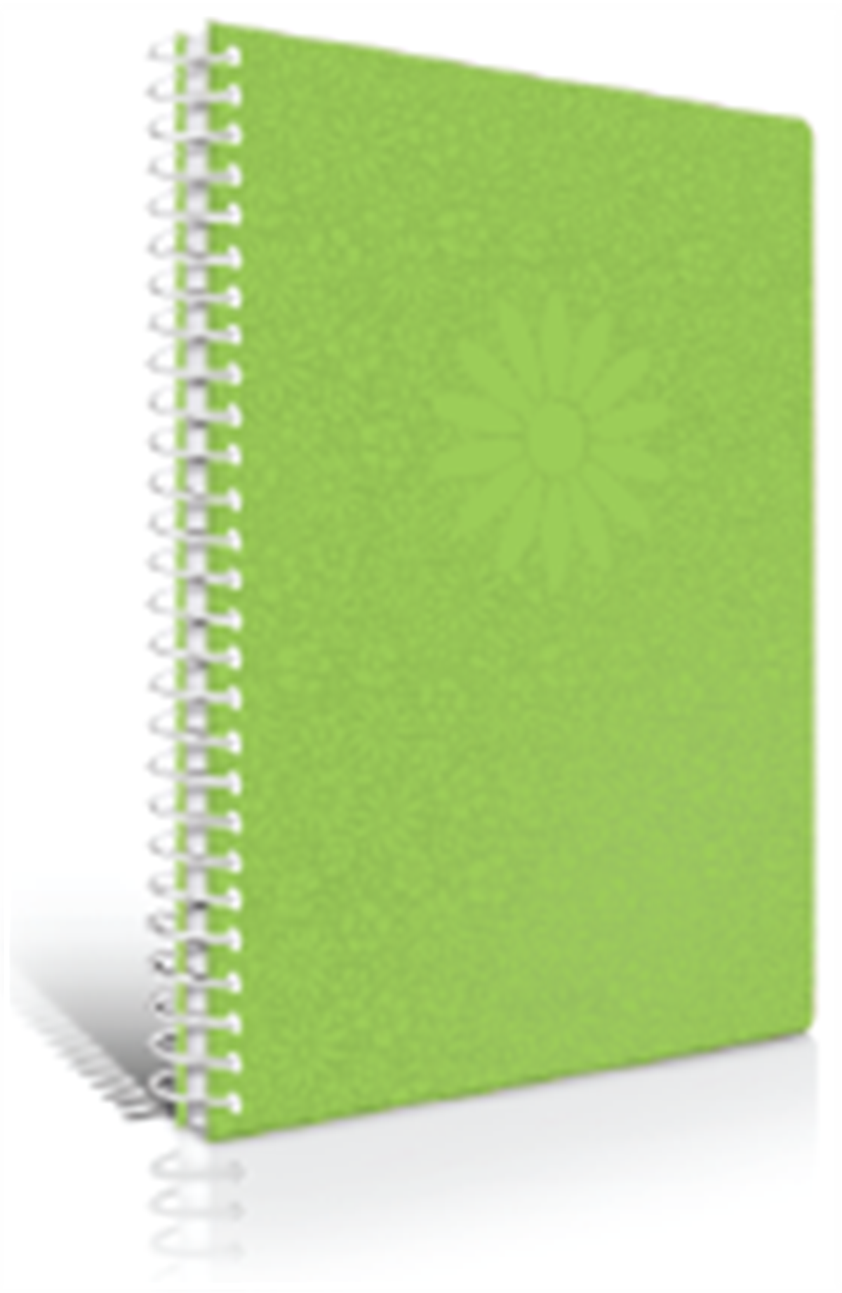 Çınar Defter Kır Çiçekleri Spr Sert Kpk 17x24 100yp Kare