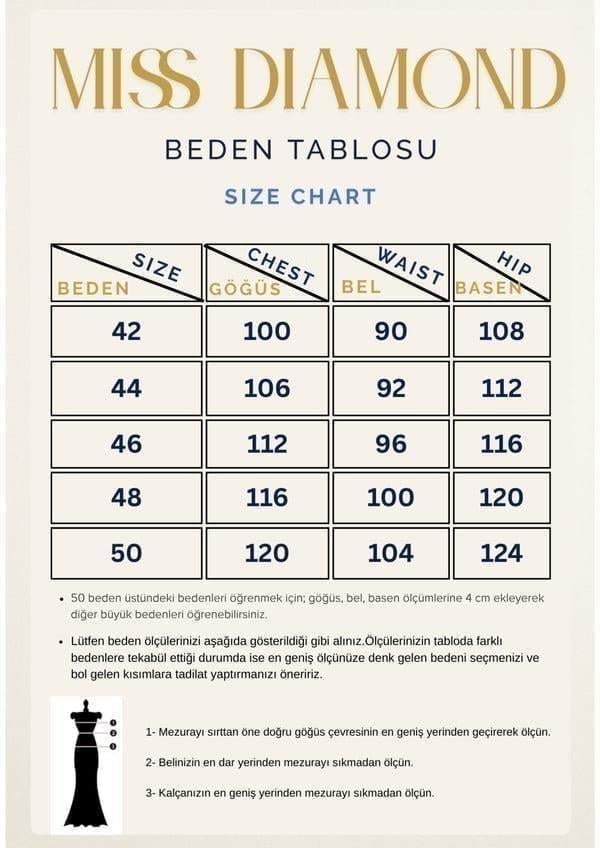 Ceketi Zarif Taş Detaylı Gümüş Uzun Etekli Üçlü Takım