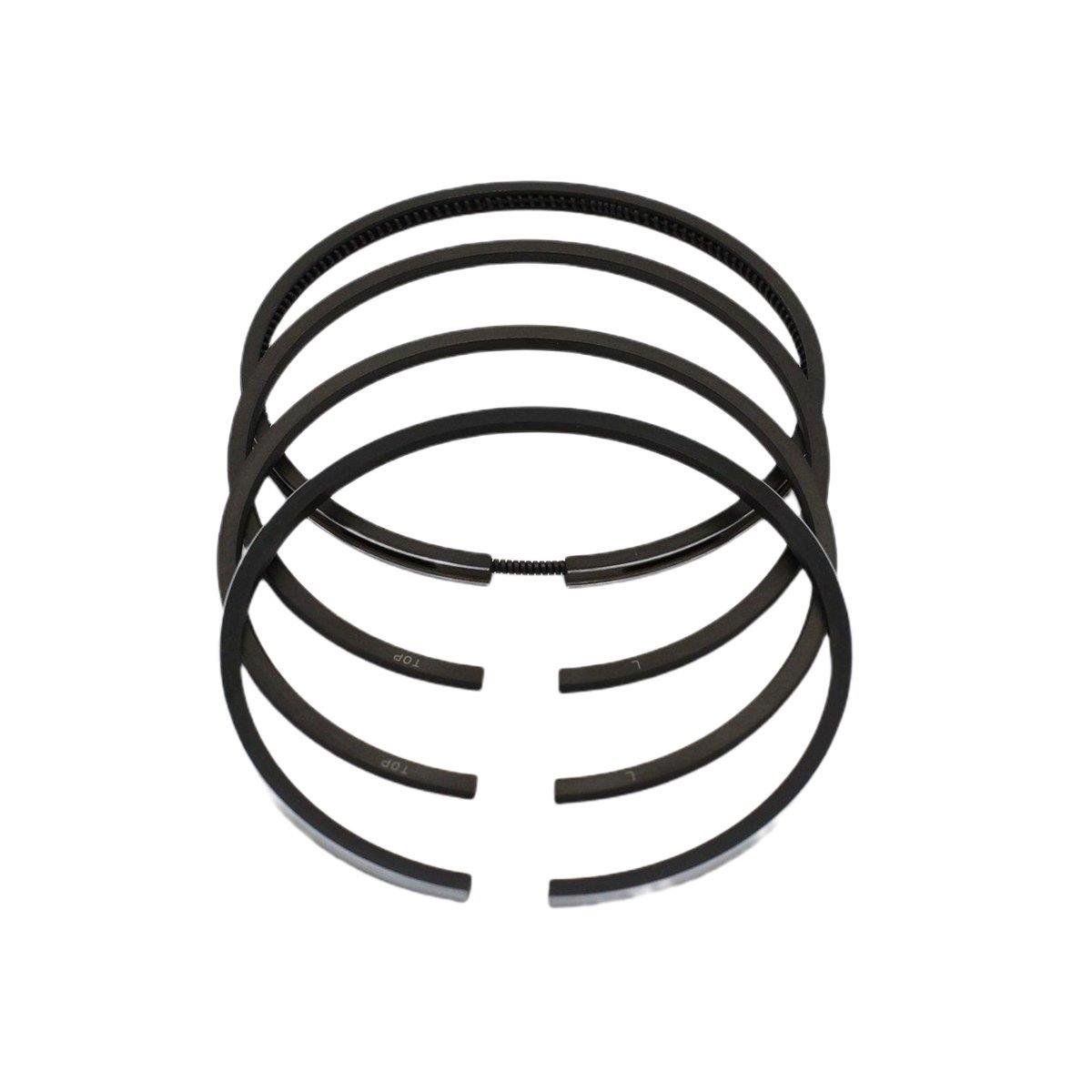 JEU DE SEGMENTS (1.00-SURDIMENSIONNÉ - DIAMÈTRE: 96.00 mm): VM / 195 SV / 295 SV / 395 SV / RÉFÉRENCE NOMBRE: 10270005A