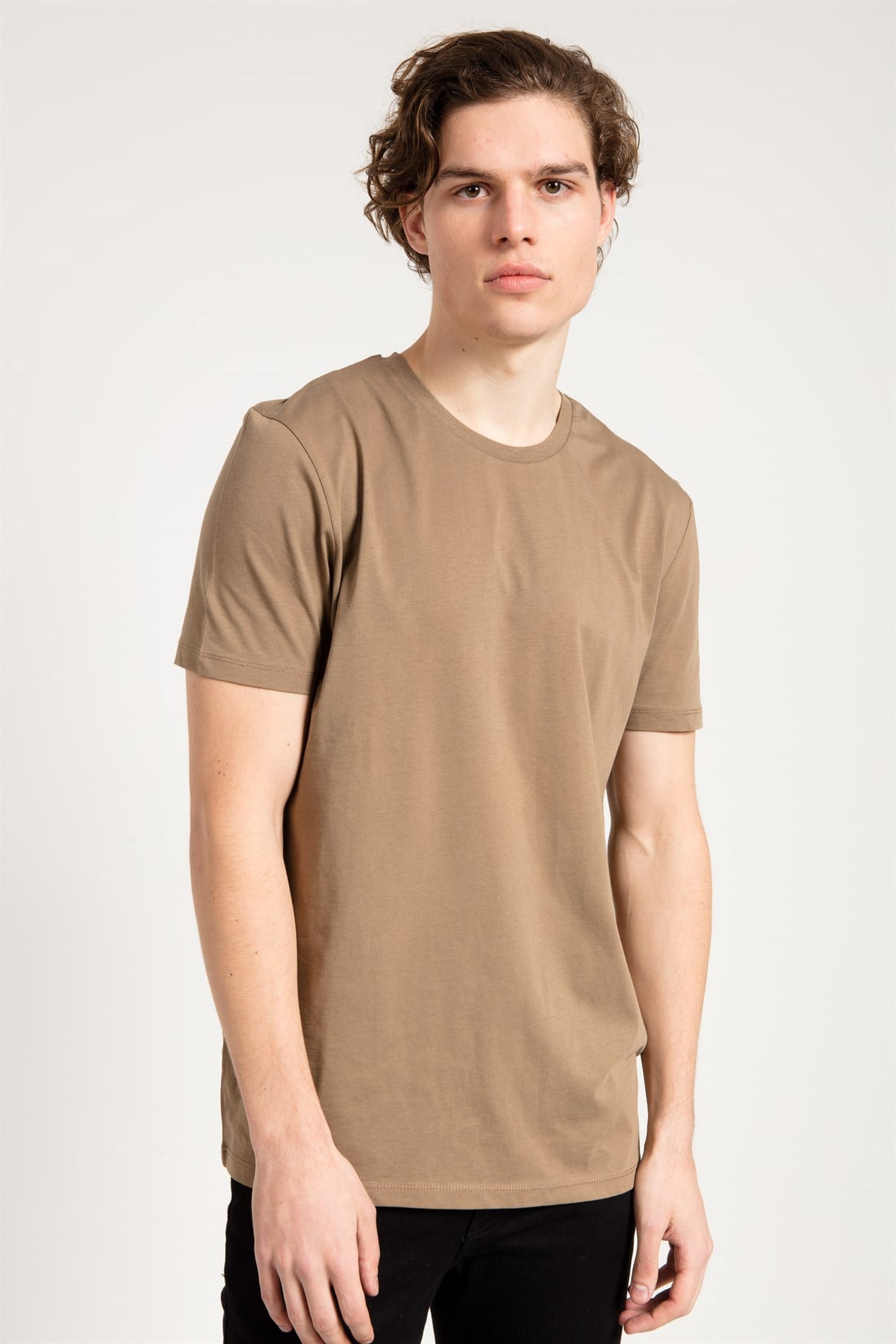 Dragon Print T-shirt in Brown