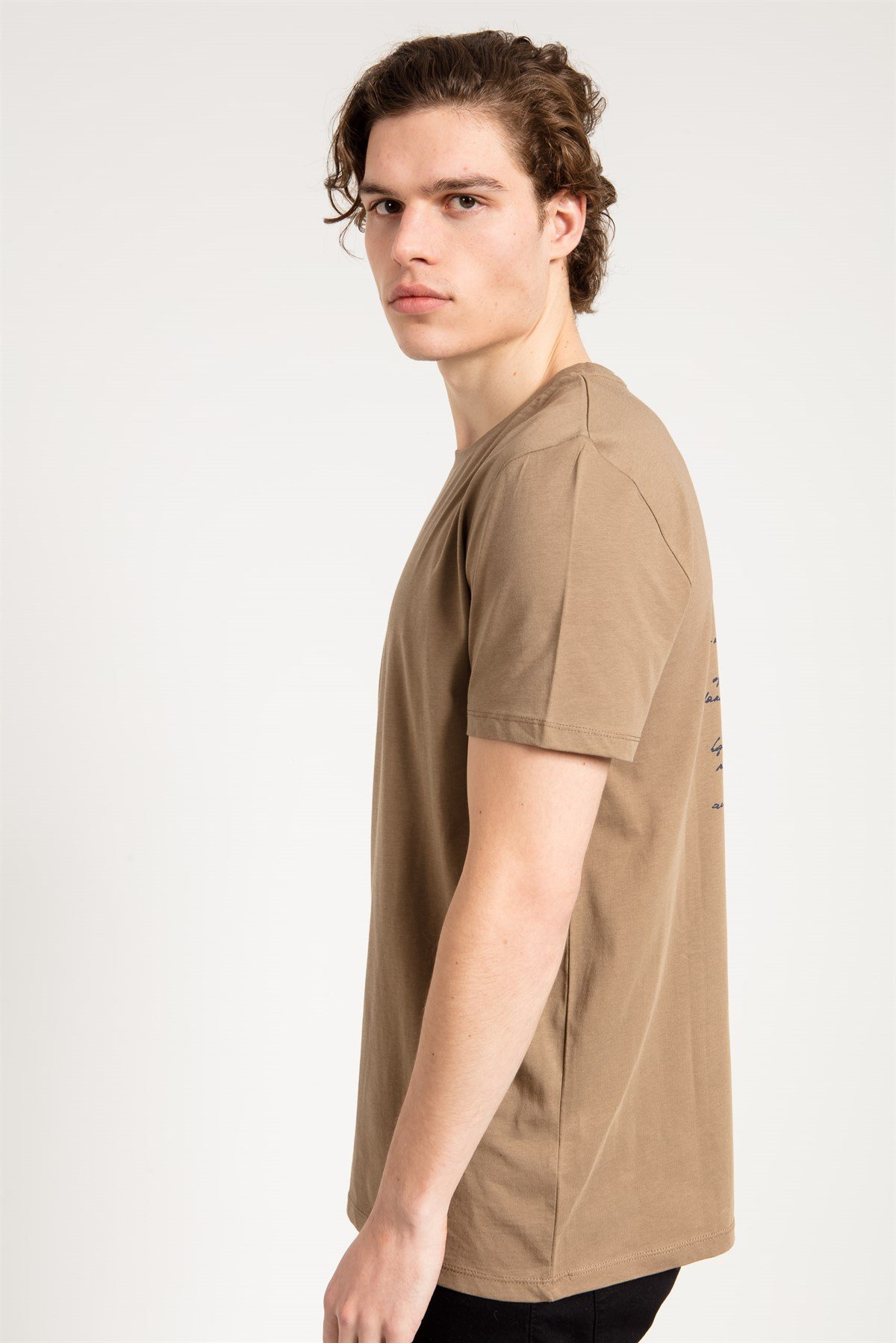 Dragon Print T-shirt in Brown