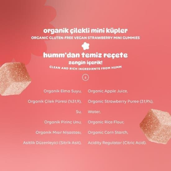 HUMM ORGANIC Çilekli Vegan Mini Küpler 30 G