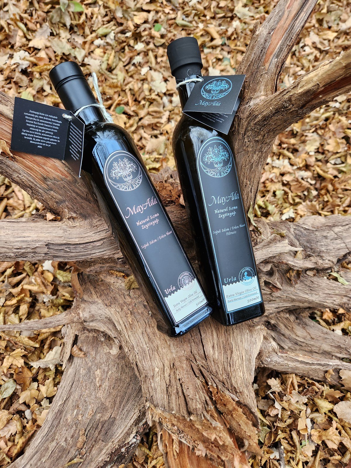 MayAda Naturel Sızma Zeytinyağı 500ml x 2 Adet - Maya ve Ada Edition.