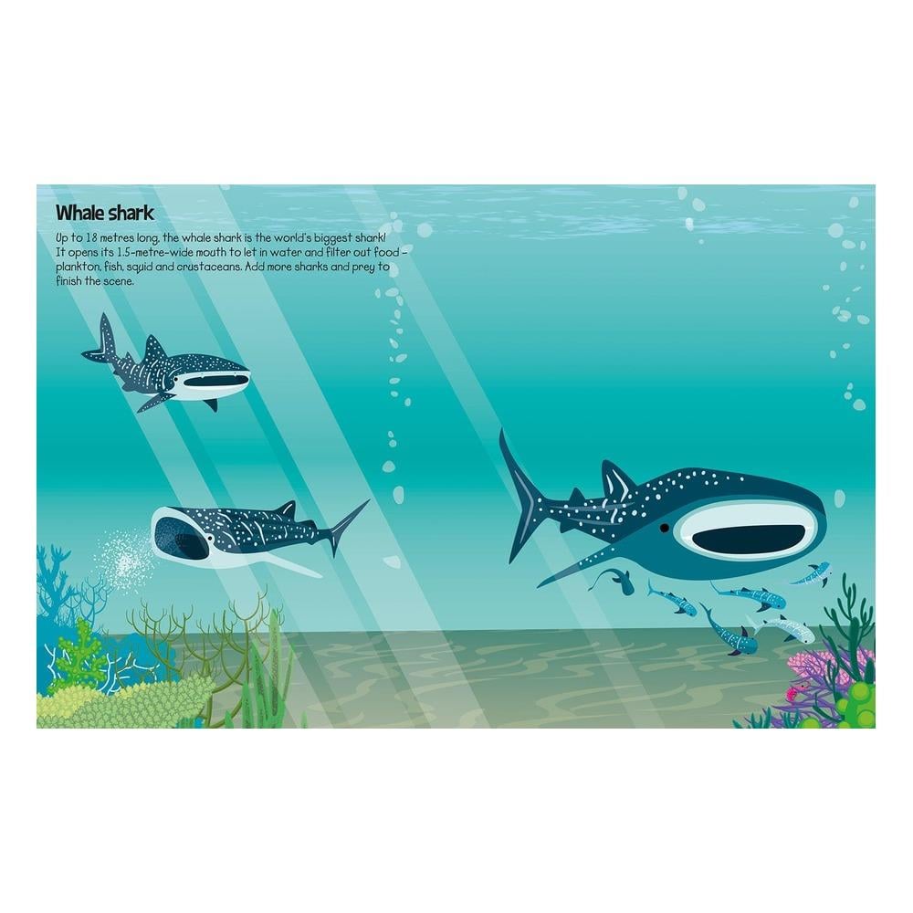 555 Sticker Fun - Sharks Çocuk Kitapları Uzmanı - Children's Books Expert