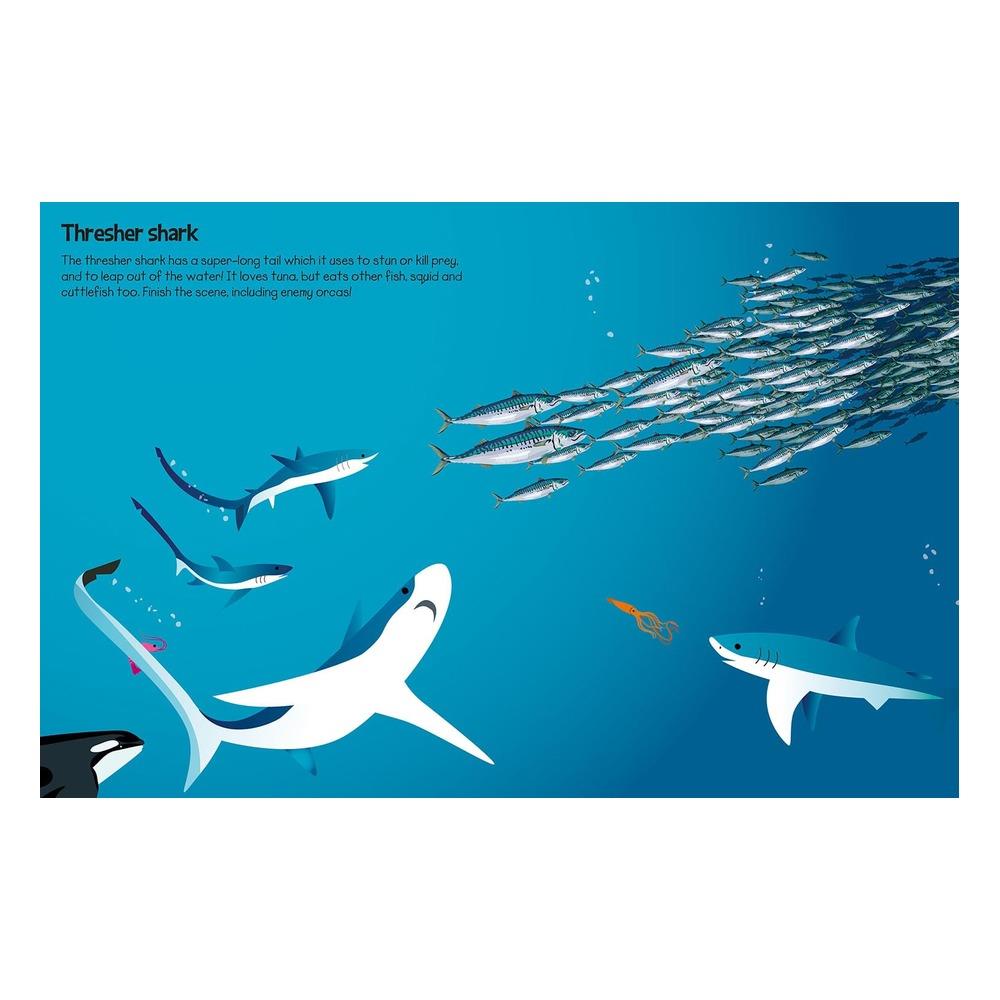 555 Sticker Fun - Sharks Çocuk Kitapları Uzmanı - Children's Books Expert