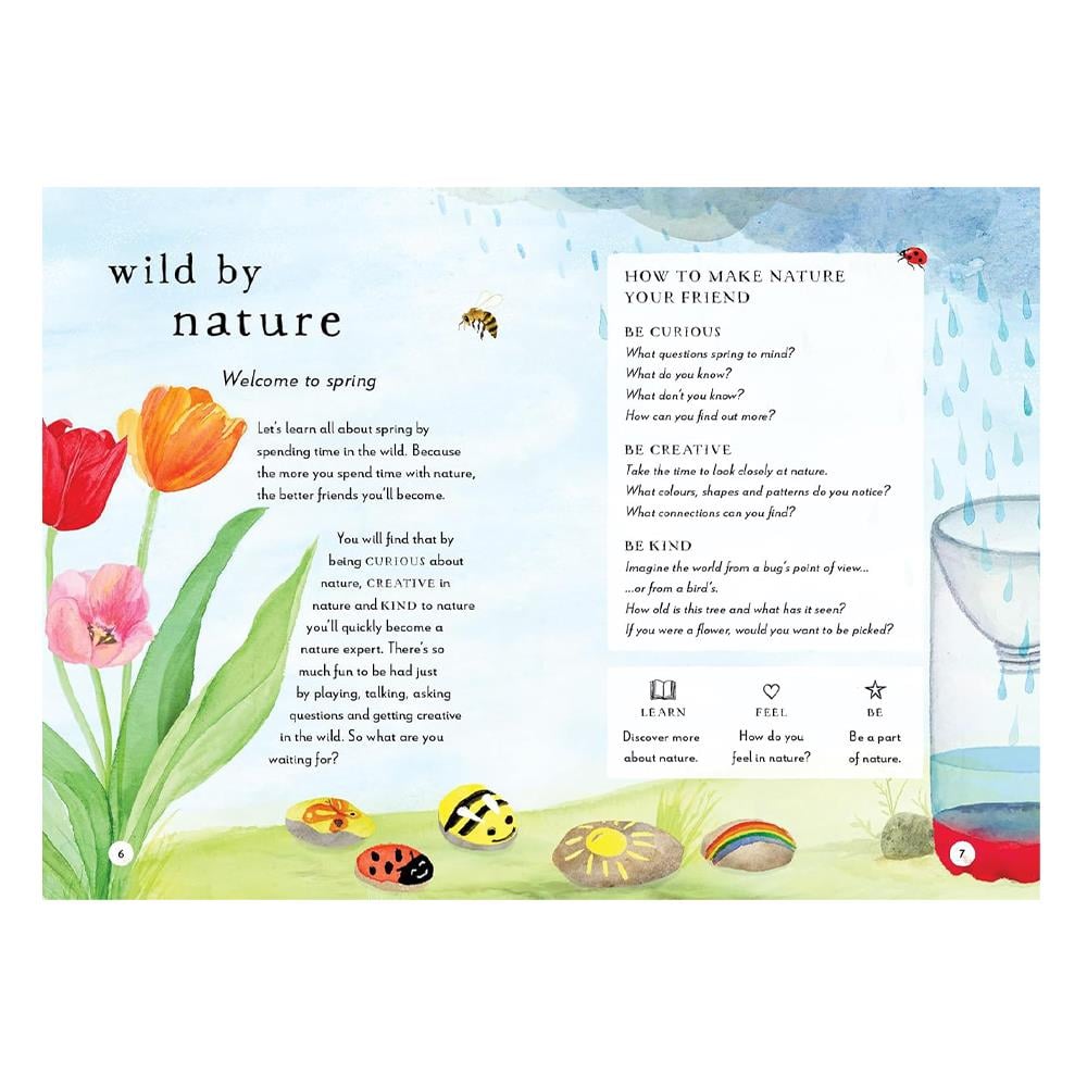 A Field Guide To Spring Çocuk Kitapları Uzmanı - Children's Books Expert