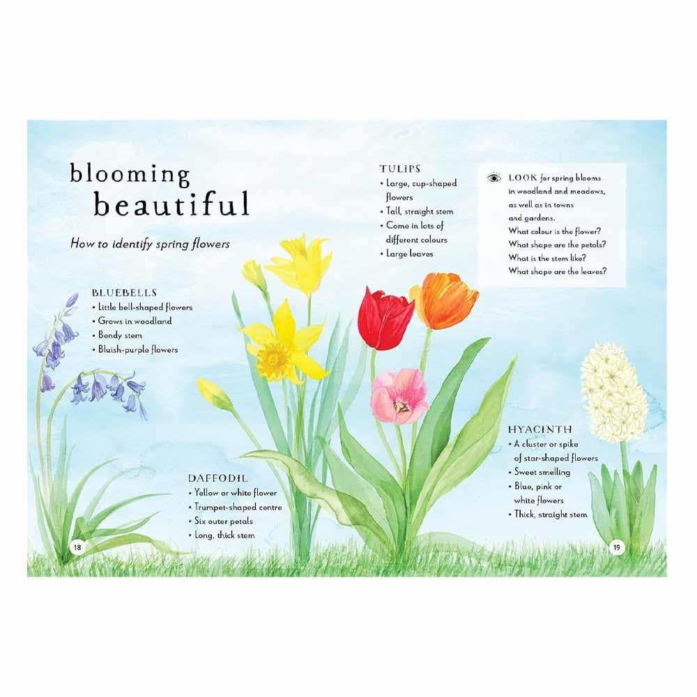 A Field Guide To Spring Çocuk Kitapları Uzmanı - Children's Books Expert