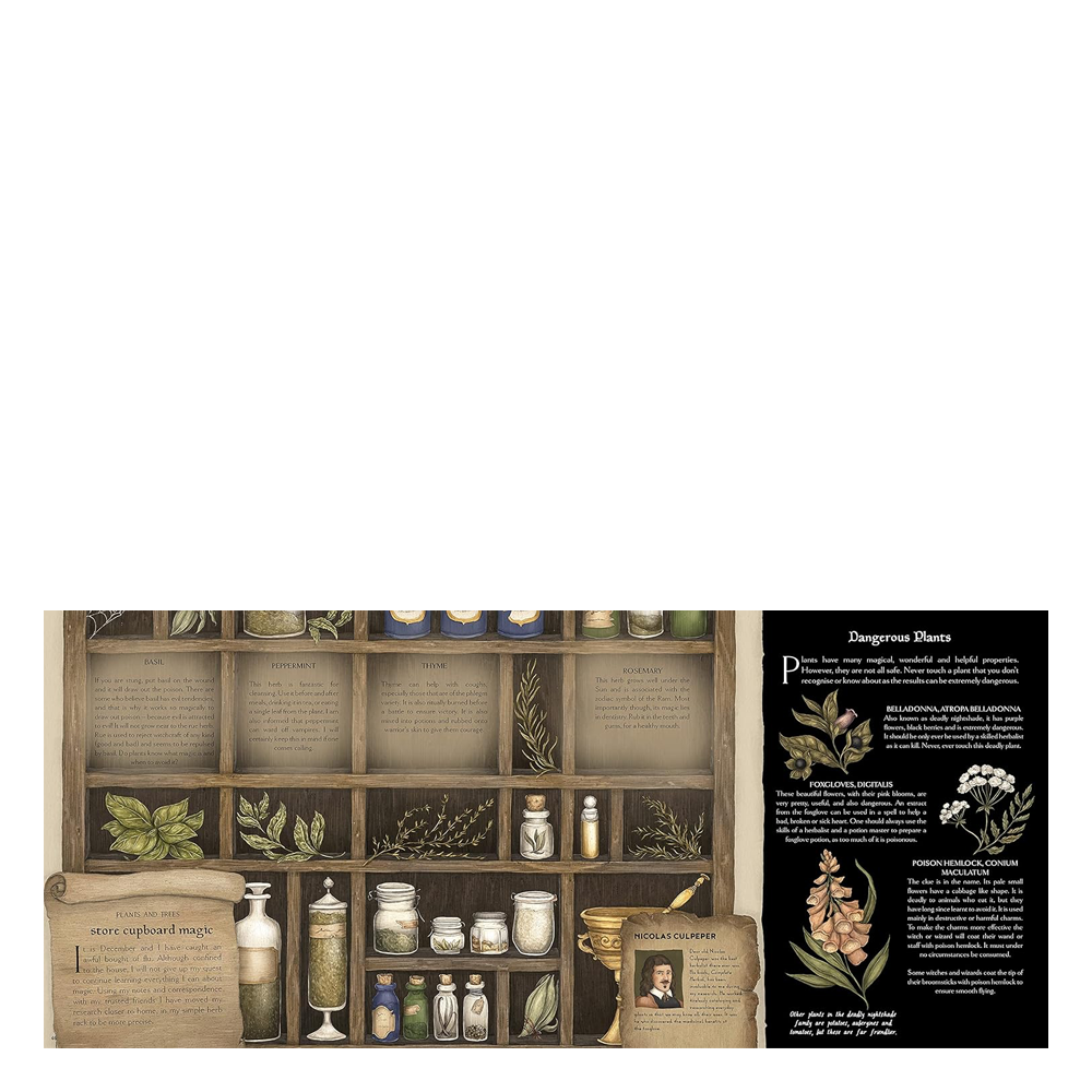 A Natural History Magick Çocuk Kitapları Uzmanı - Children's Books Expert