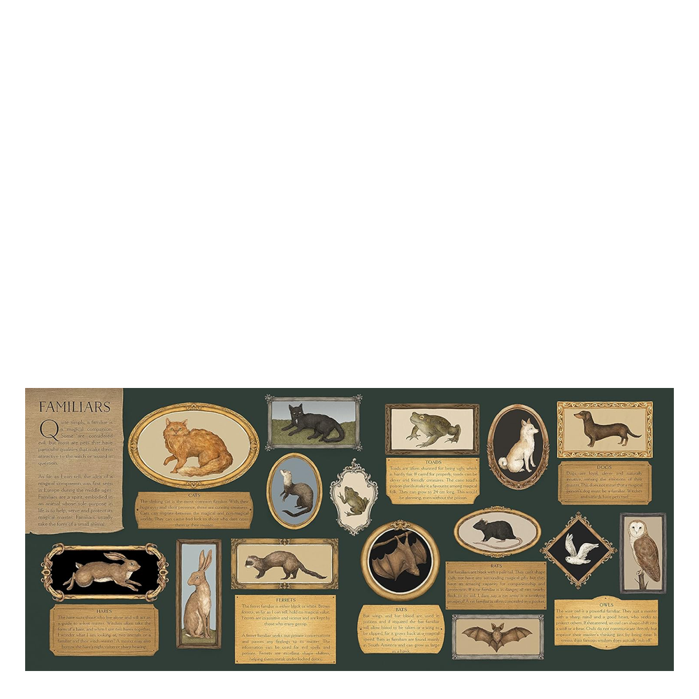 A Natural History Magick Çocuk Kitapları Uzmanı - Children's Books Expert