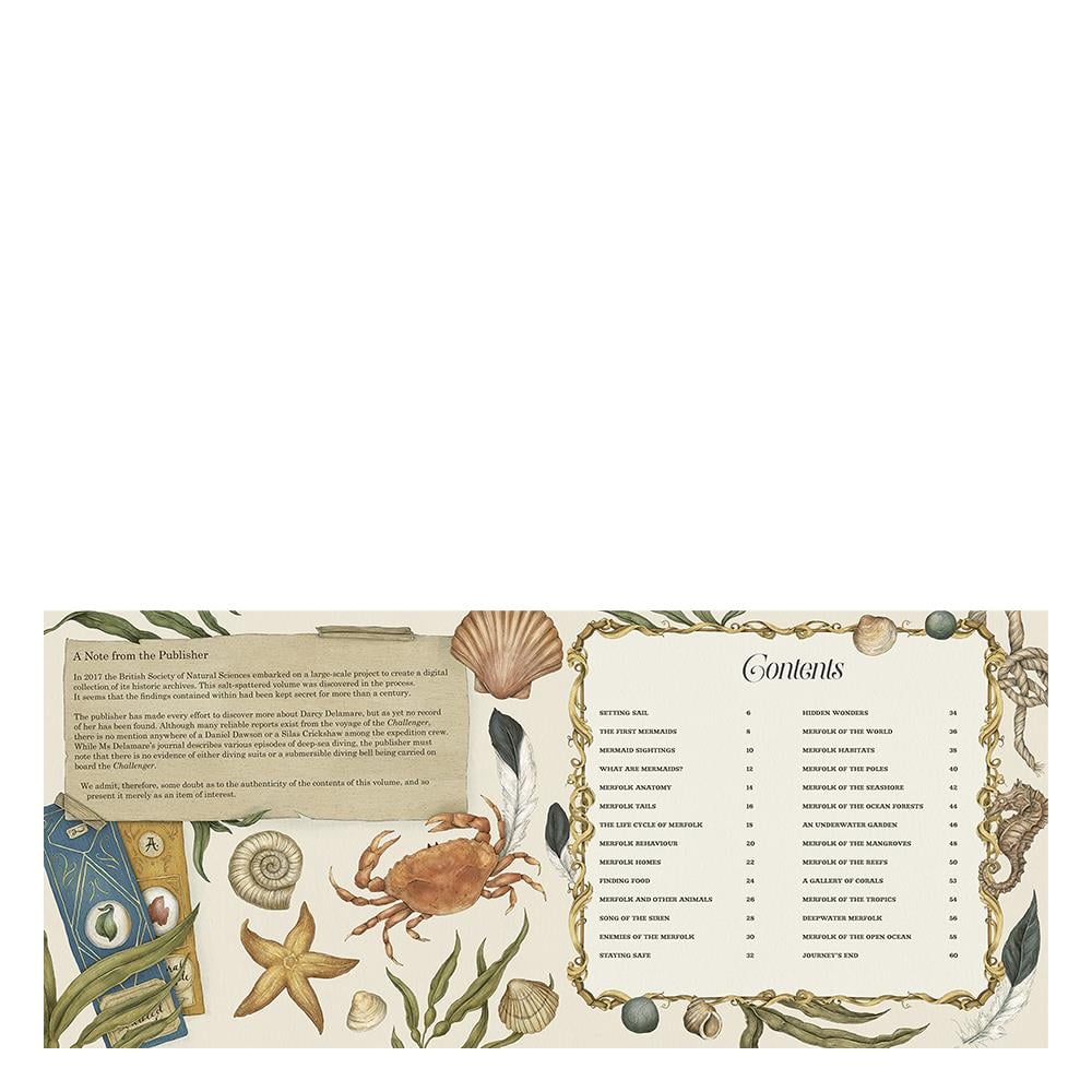 A NATURAL HISTORY OF MERMAIDS Çocuk Kitapları Uzmanı - Children's Books Expert