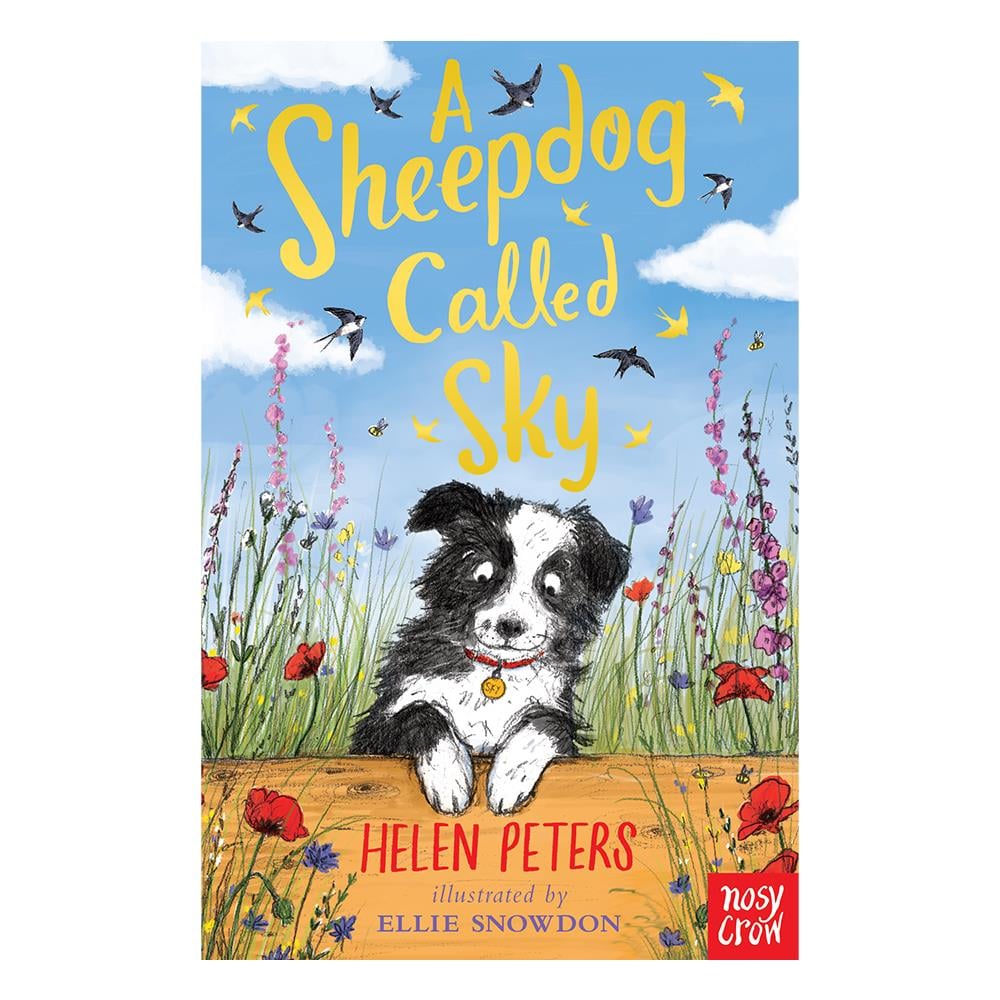 A SHEEPDOG CALLED SKY Çocuk Kitapları Uzmanı - Children's Books Expert