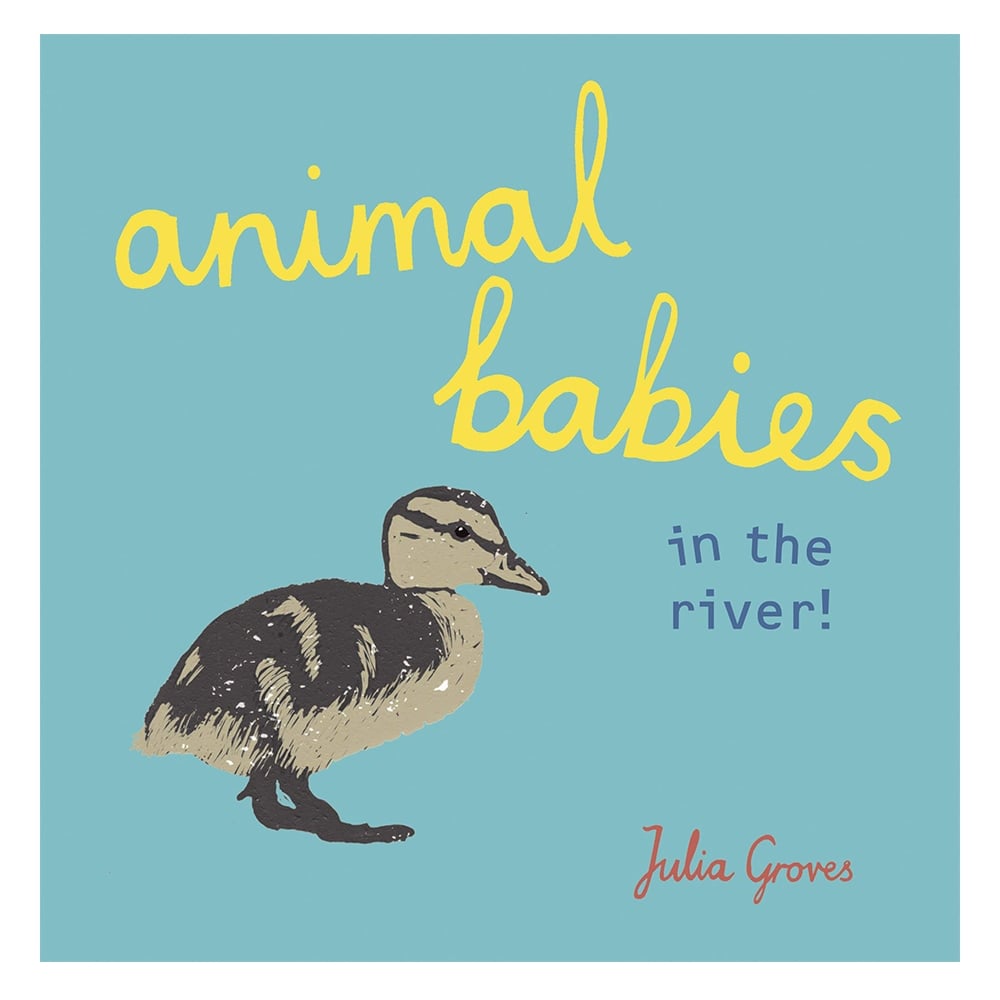 ANIMAL BABIES IN THE RIVER!