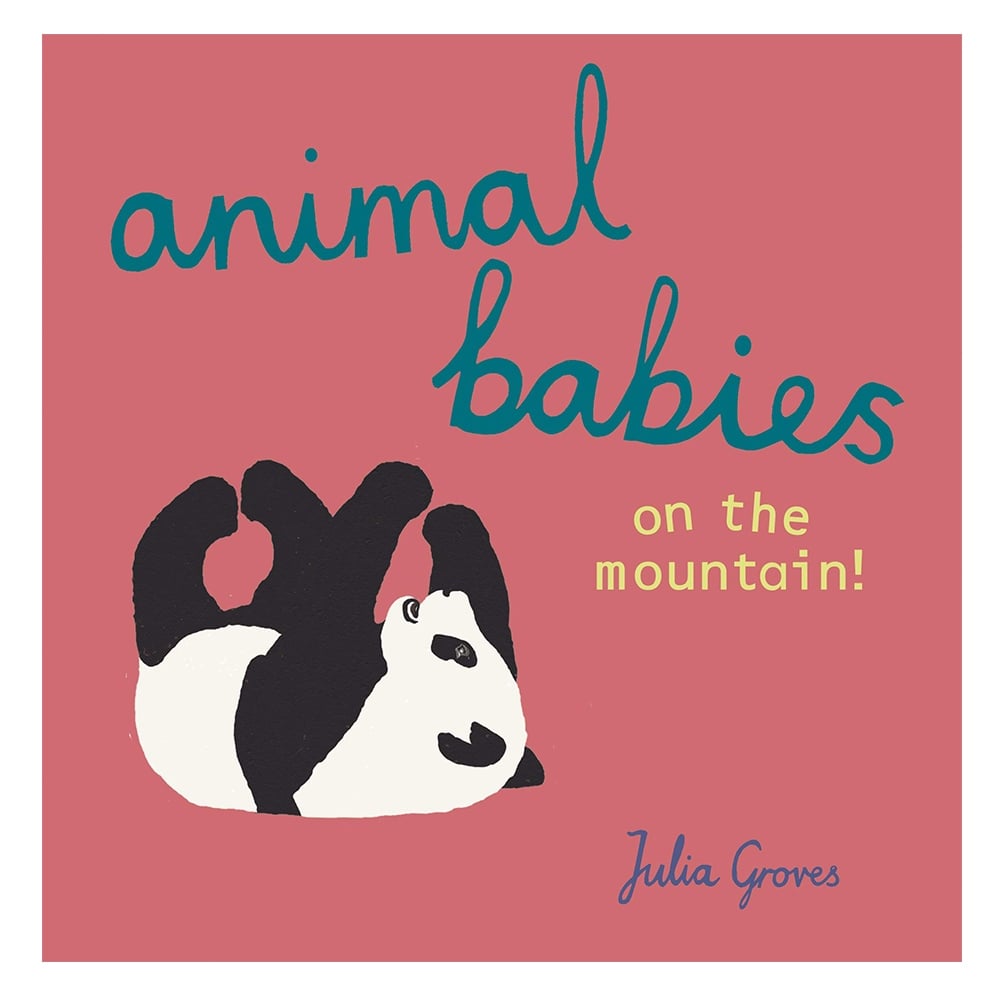 ANIMAL BABIES ON THE MOUNTAIN!