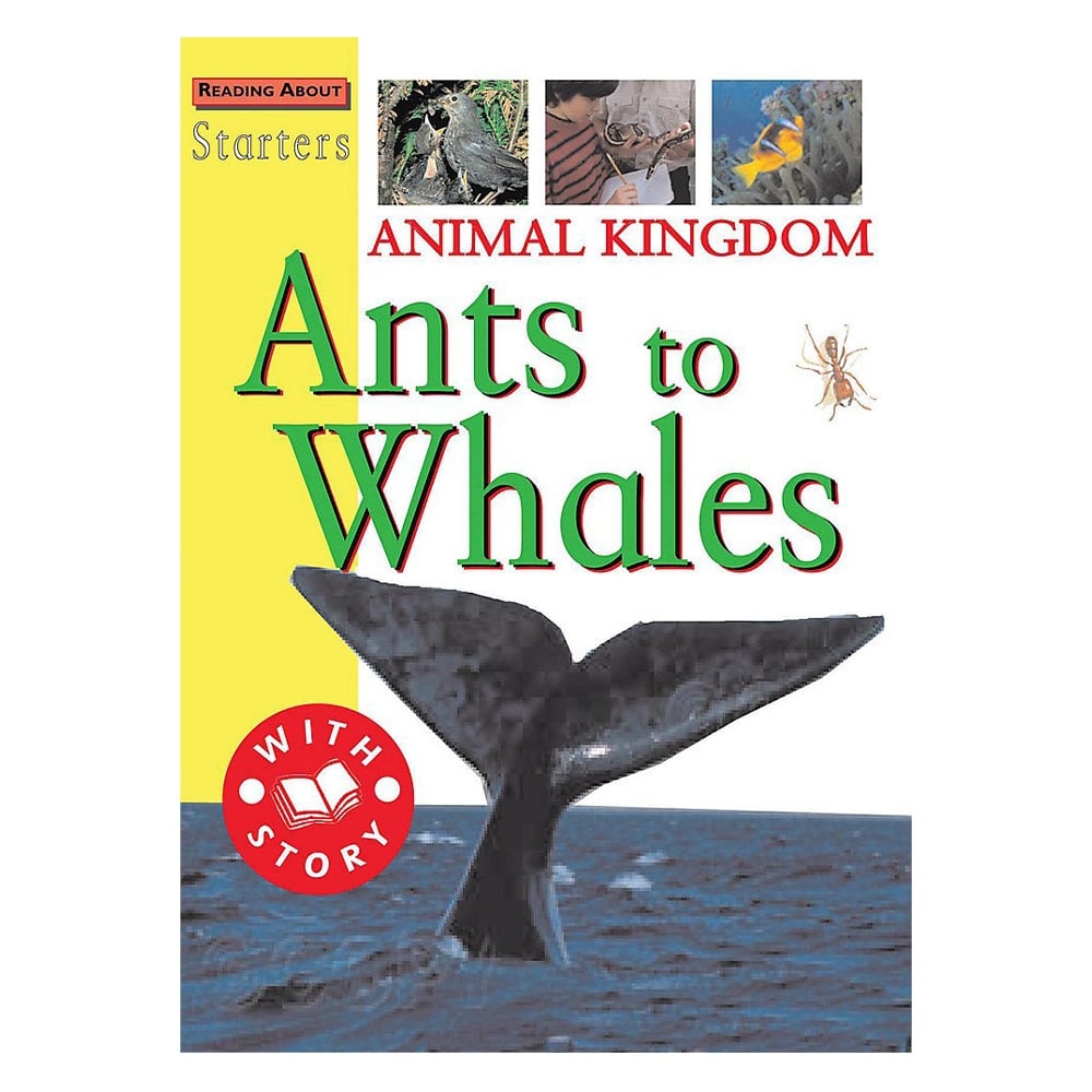 ANIMAL KINGDOM ANTS TO WHALES Çocuk Kitapları Uzmanı - Children's Books Expert