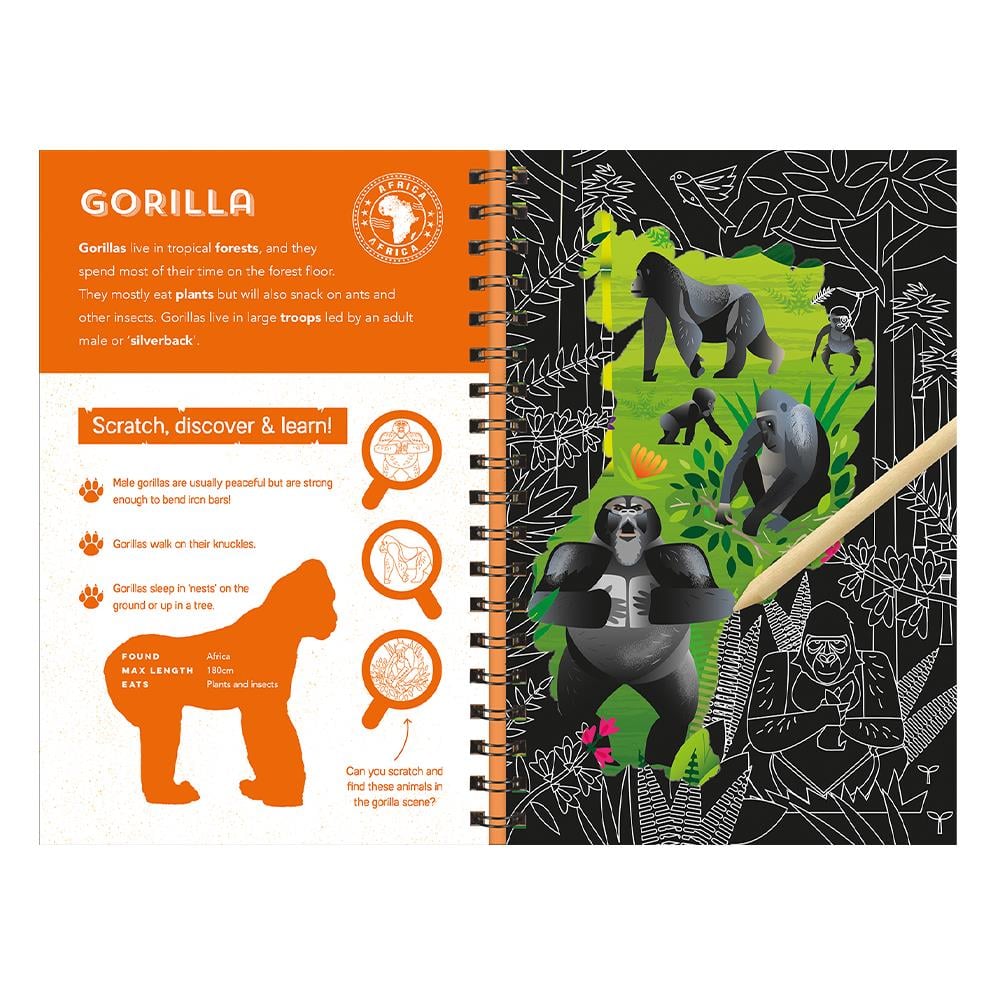 Animals - Scratch Discover And Learn Çocuk Kitapları Uzmanı - Children's Books Expert