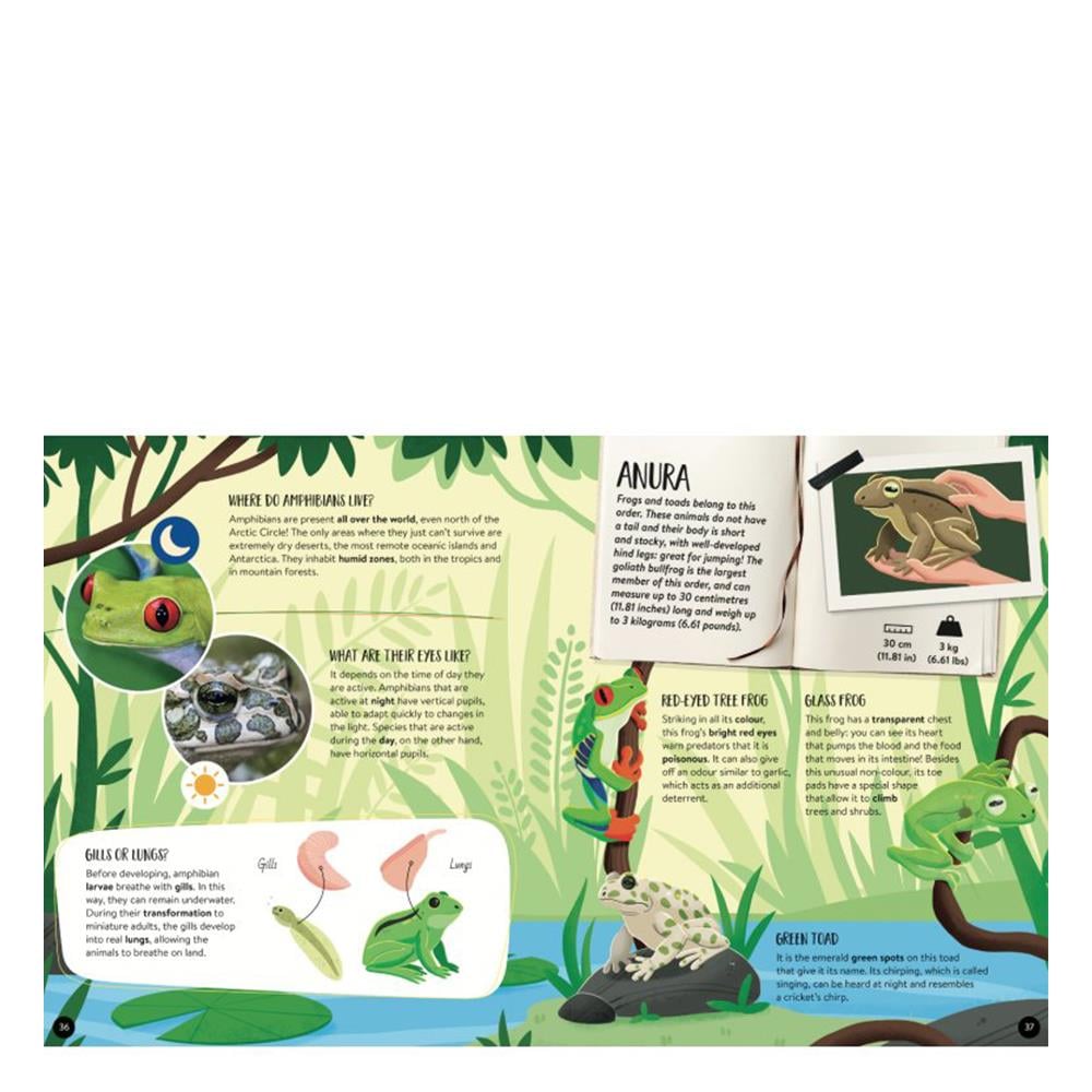 ANIMALS - THE ULTIMATE ATLAS Çocuk Kitapları Uzmanı - Children's Books Expert