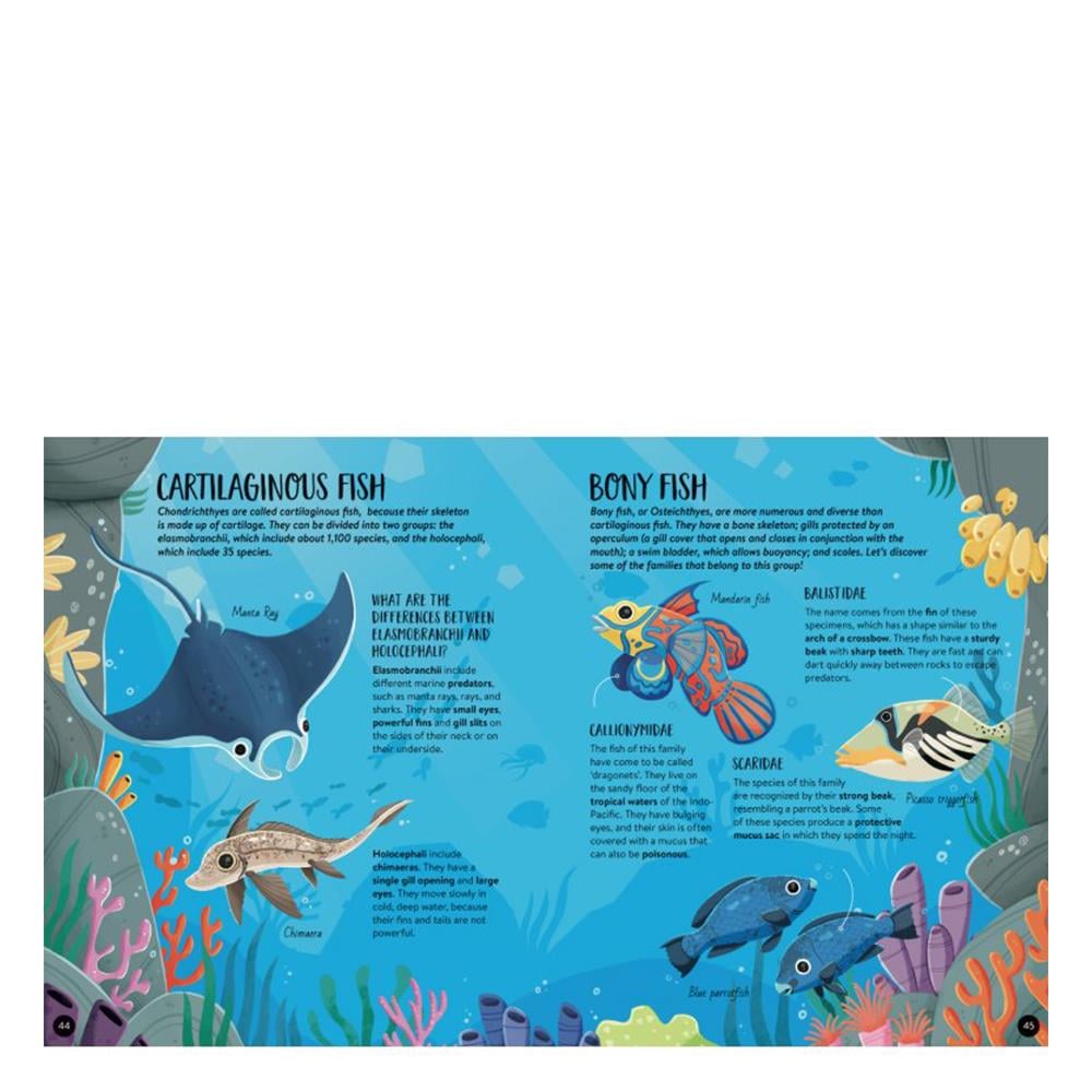 ANIMALS - THE ULTIMATE ATLAS Çocuk Kitapları Uzmanı - Children's Books Expert