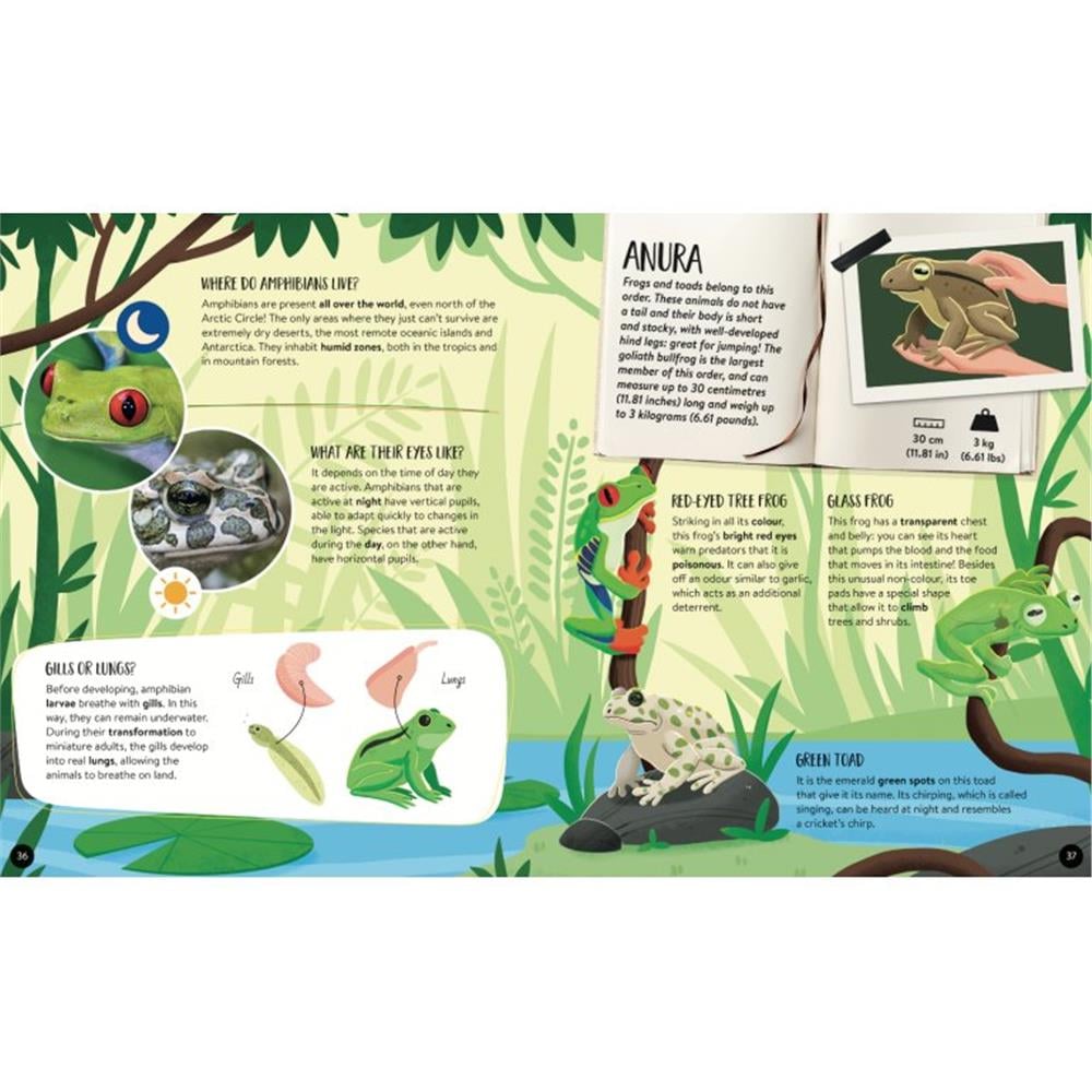 Animals - The Ultimate Atlas - New Edition Çocuk Kitapları Uzmanı - Children's Books Expert