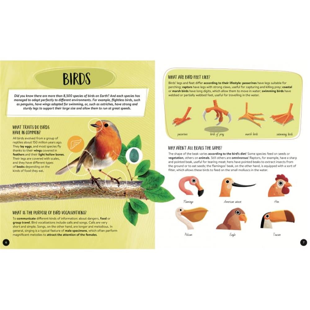Animals - The Ultimate Atlas - New Edition Çocuk Kitapları Uzmanı - Children's Books Expert