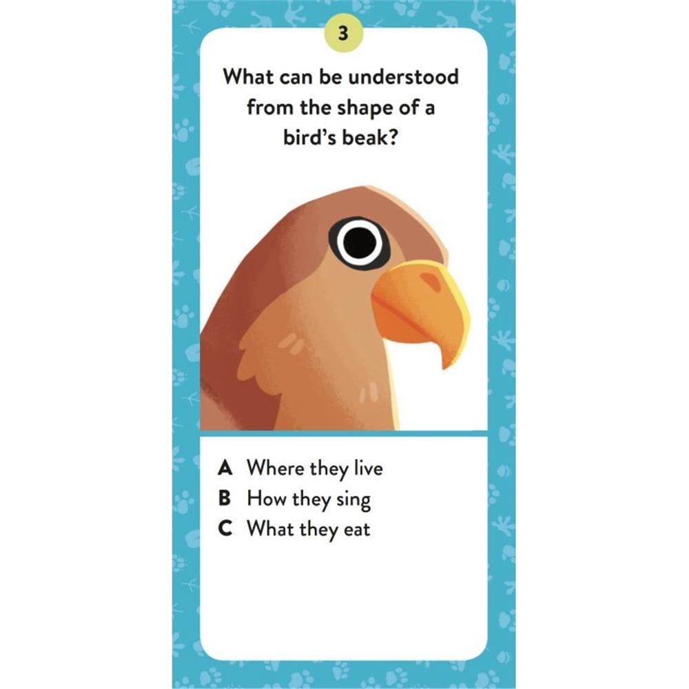 Animals - The Ultimate Atlas - New Edition Çocuk Kitapları Uzmanı - Children's Books Expert