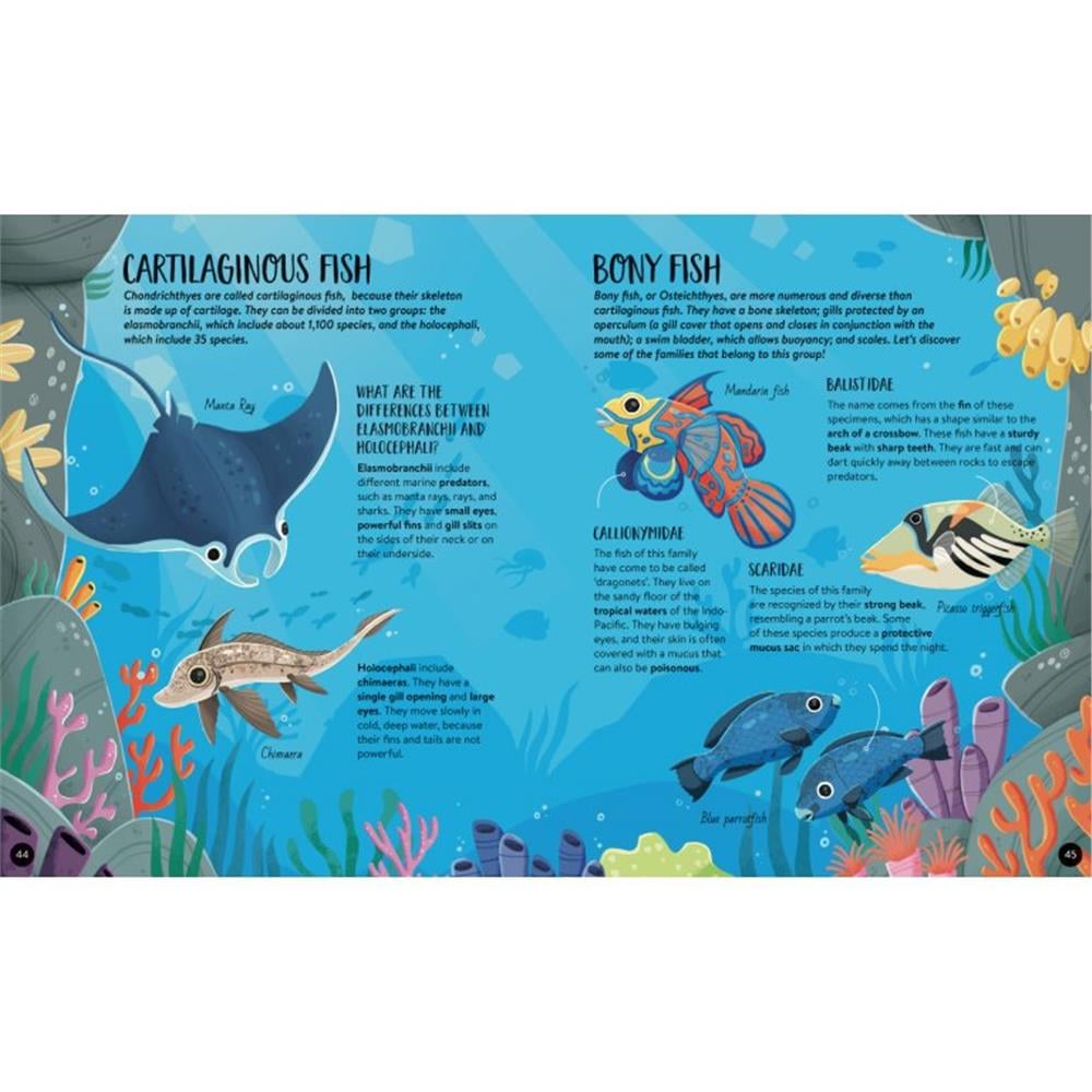Animals - The Ultimate Atlas - New Edition Çocuk Kitapları Uzmanı - Children's Books Expert