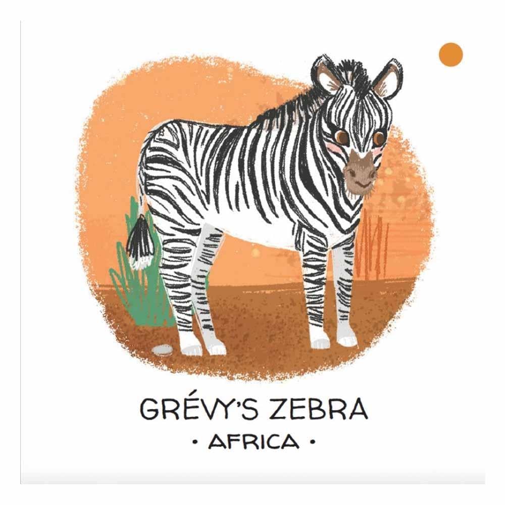 Animals to Save - Deserts and Savannahs Çocuk Kitapları Uzmanı - Children's Books Expert