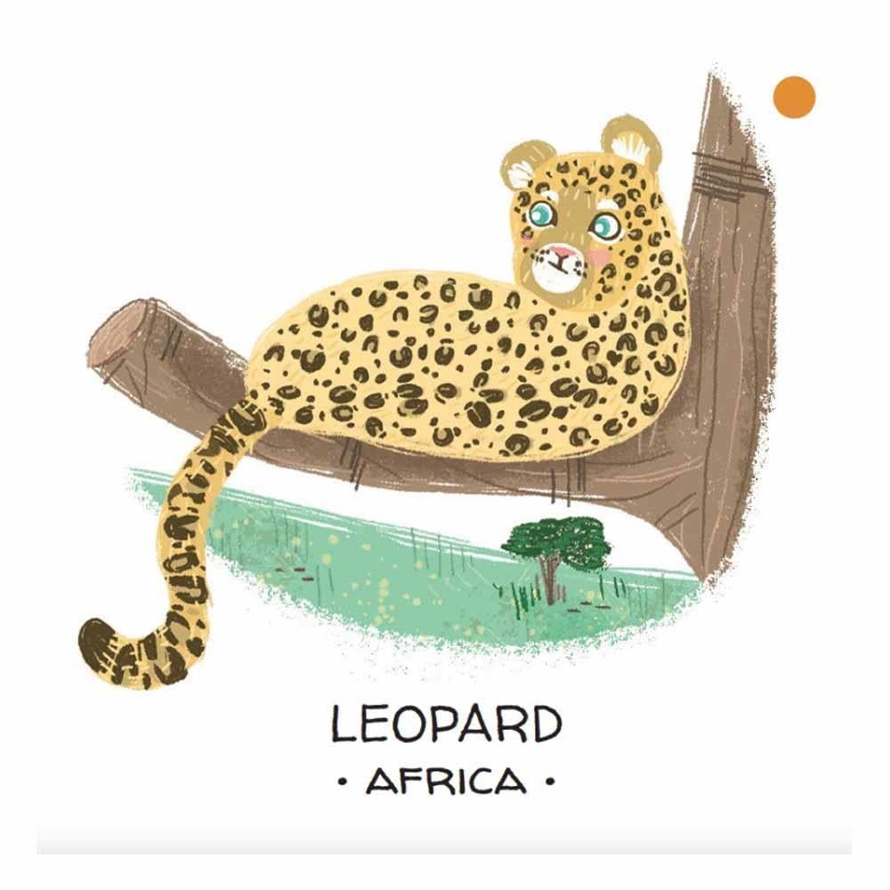 Animals to Save - Deserts and Savannahs Çocuk Kitapları Uzmanı - Children's Books Expert