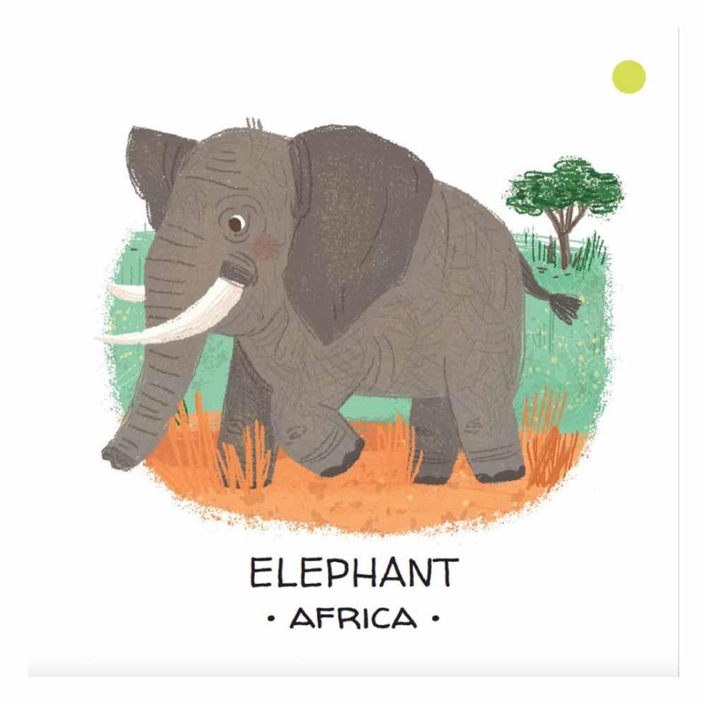Animals to Save - Deserts and Savannahs Çocuk Kitapları Uzmanı - Children's Books Expert