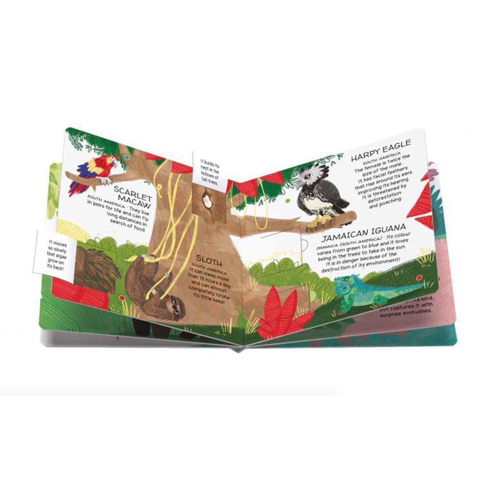 Animals to Save - Tropical Forests Çocuk Kitapları Uzmanı - Children's Books Expert