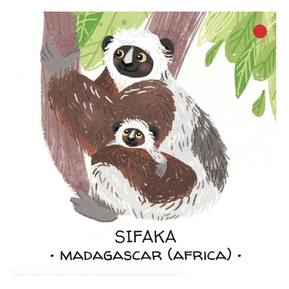 Animals to Save - Tropical Forests Çocuk Kitapları Uzmanı - Children's Books Expert