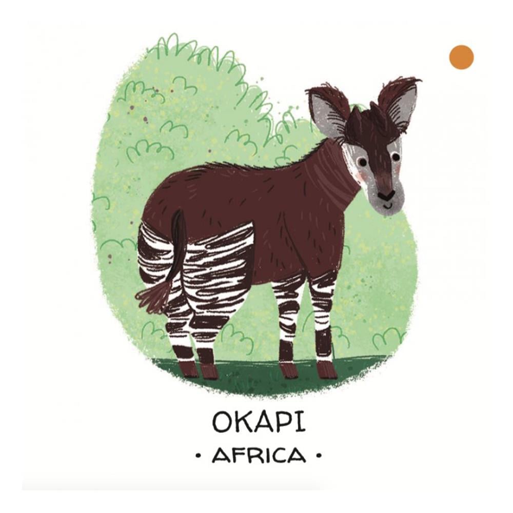 Animals to Save - Tropical Forests Çocuk Kitapları Uzmanı - Children's Books Expert