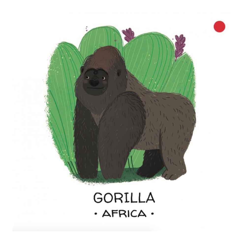 Animals to Save - Tropical Forests Çocuk Kitapları Uzmanı - Children's Books Expert