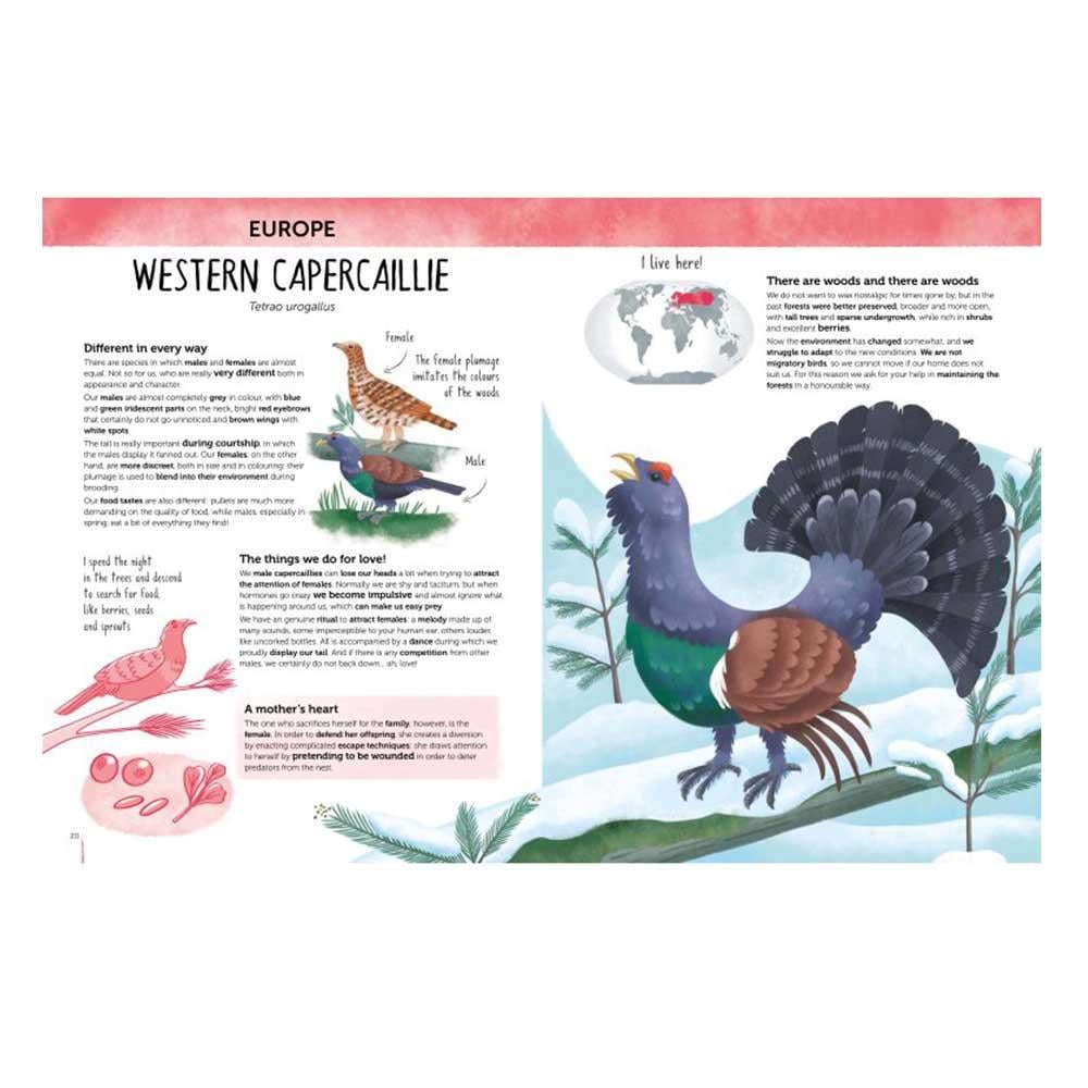 Atlas Of Biodiversity Curious And Unusual Animals Çocuk Kitapları Uzmanı - Children's Books Expert