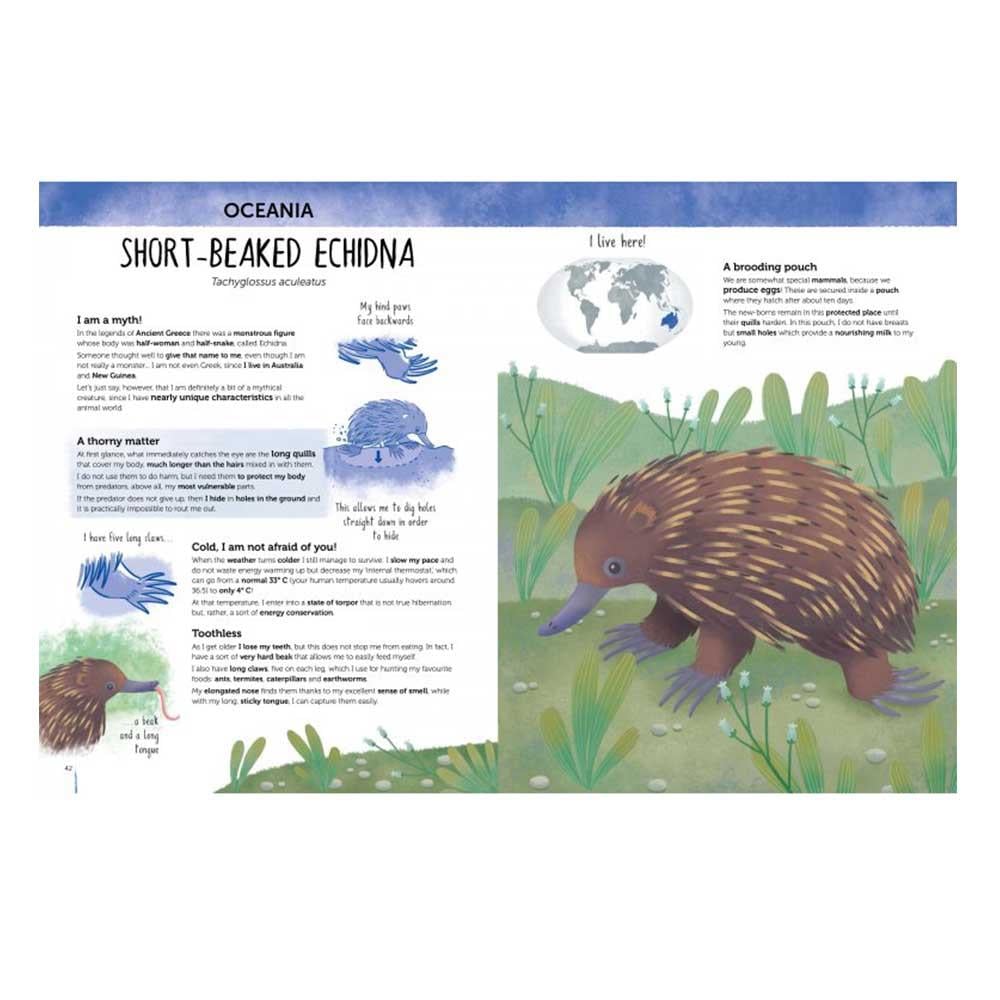 Atlas Of Biodiversity Curious And Unusual Animals Çocuk Kitapları Uzmanı - Children's Books Expert