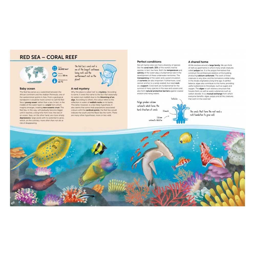 Atlas Of Biodiversity Oceans And Seas Çocuk Kitapları Uzmanı - Children's Books Expert