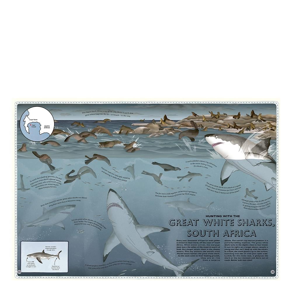 ATLAS OF OCEAN ADVENTURES Çocuk Kitapları Uzmanı - Children's Books Expert