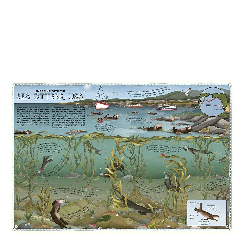 ATLAS OF OCEAN ADVENTURES Çocuk Kitapları Uzmanı - Children's Books Expert