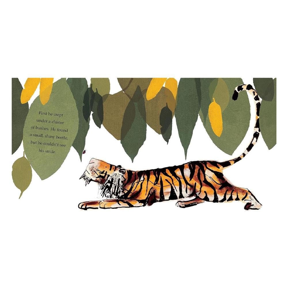 Augustus And His Smile Çocuk Kitapları Uzmanı - Children's Books Expert